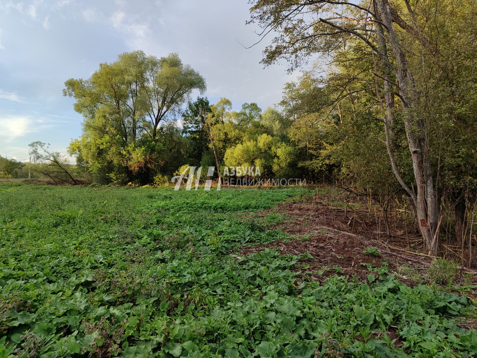 Земли поселения Московская область, Рузский городской округ, село Кожино