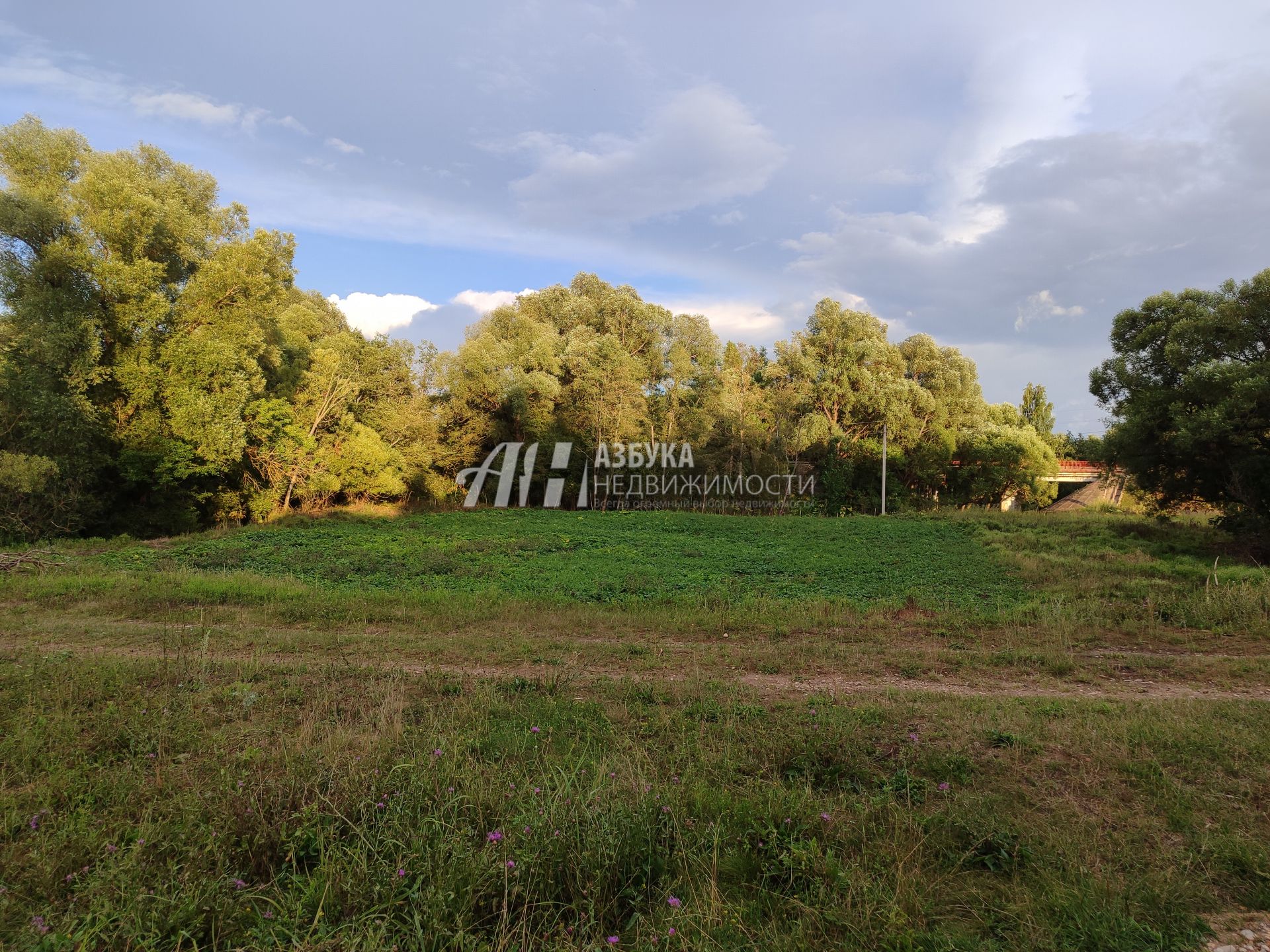 Земли поселения Московская область, Рузский городской округ, село Кожино