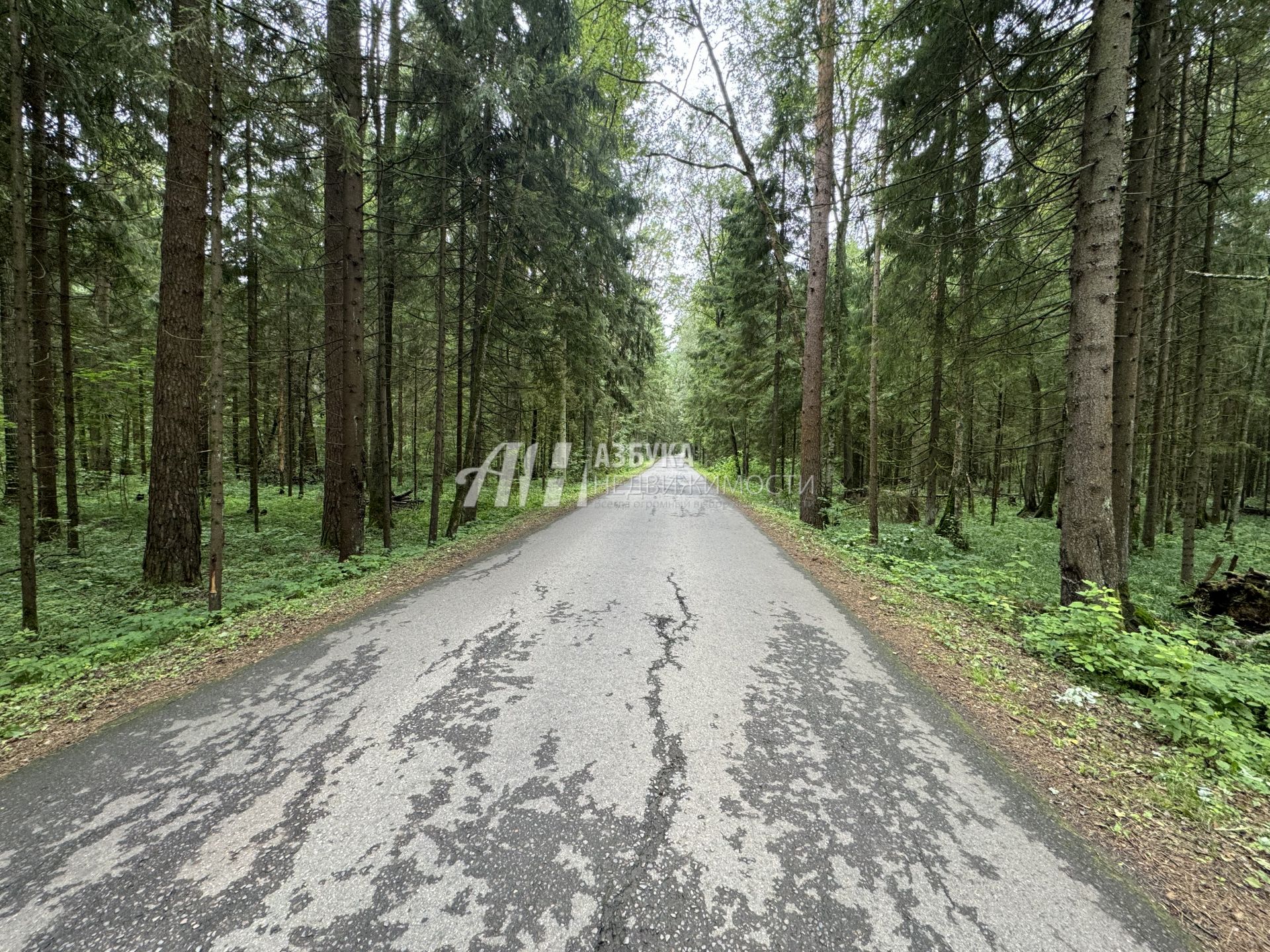 Земли поселения Московская область, городской округ Мытищи, деревня Степаньково, коттеджный посёлок Аврора