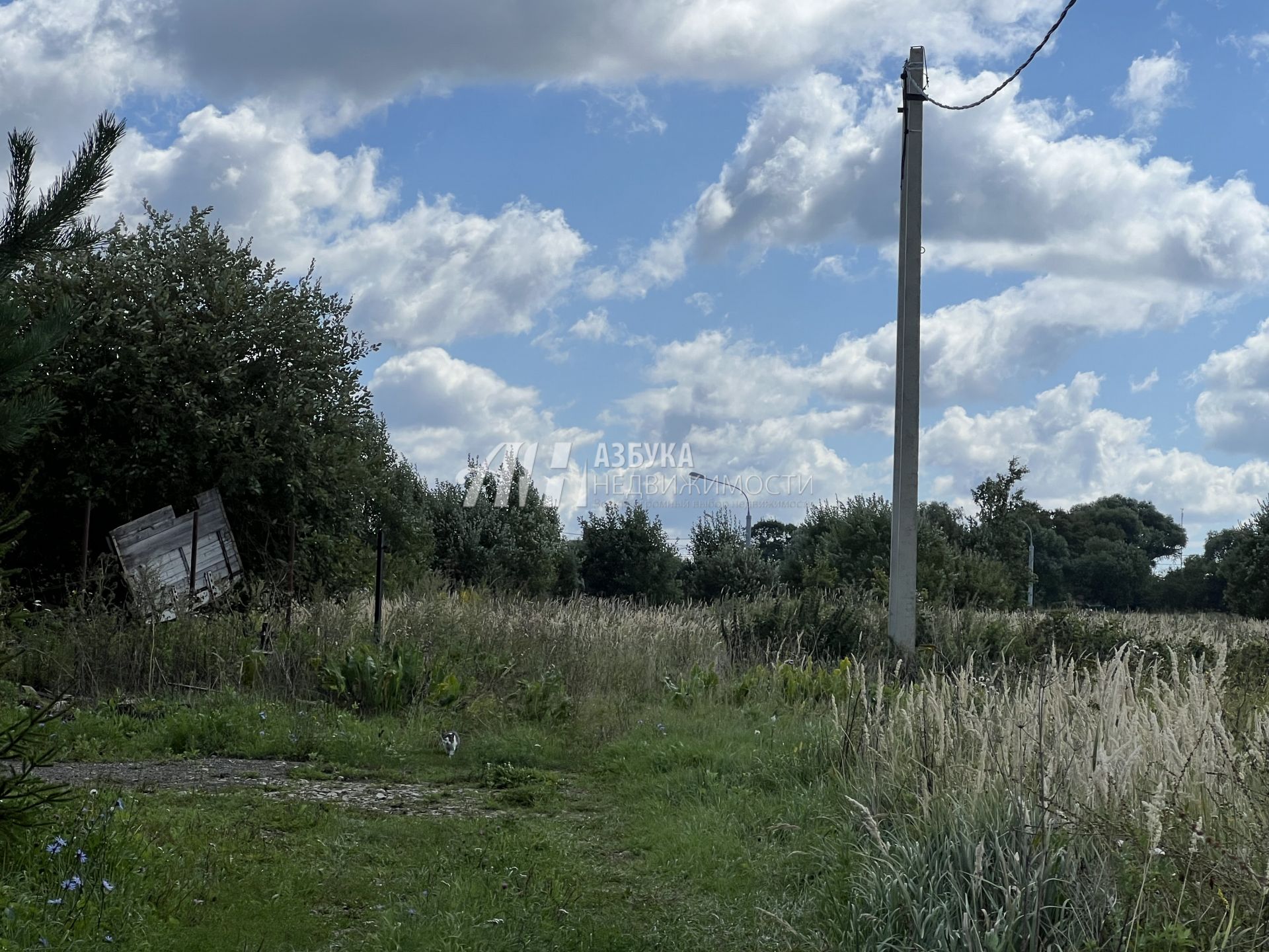 Земли поселения Московская область, городской округ Серпухов, село Липицы