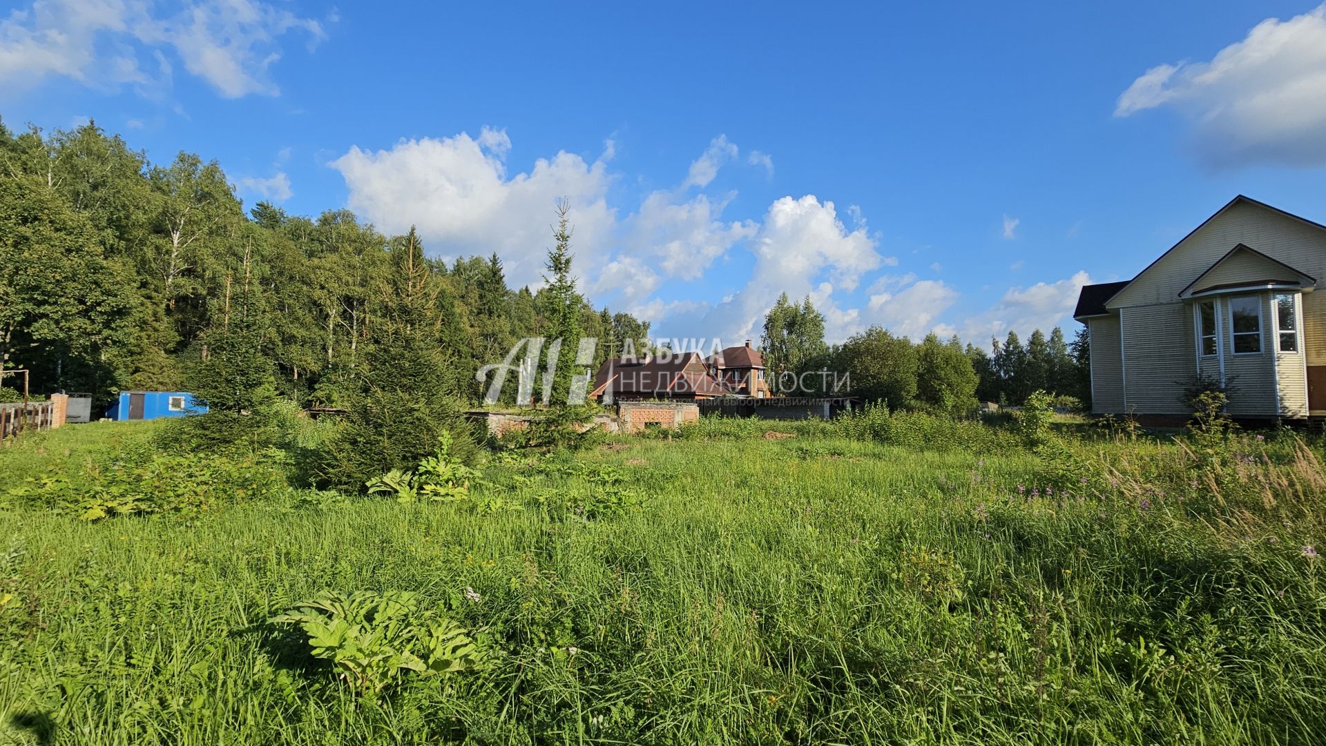 Земли поселения Московская область, городской округ Истра, деревня Андреевское, Луговая улица