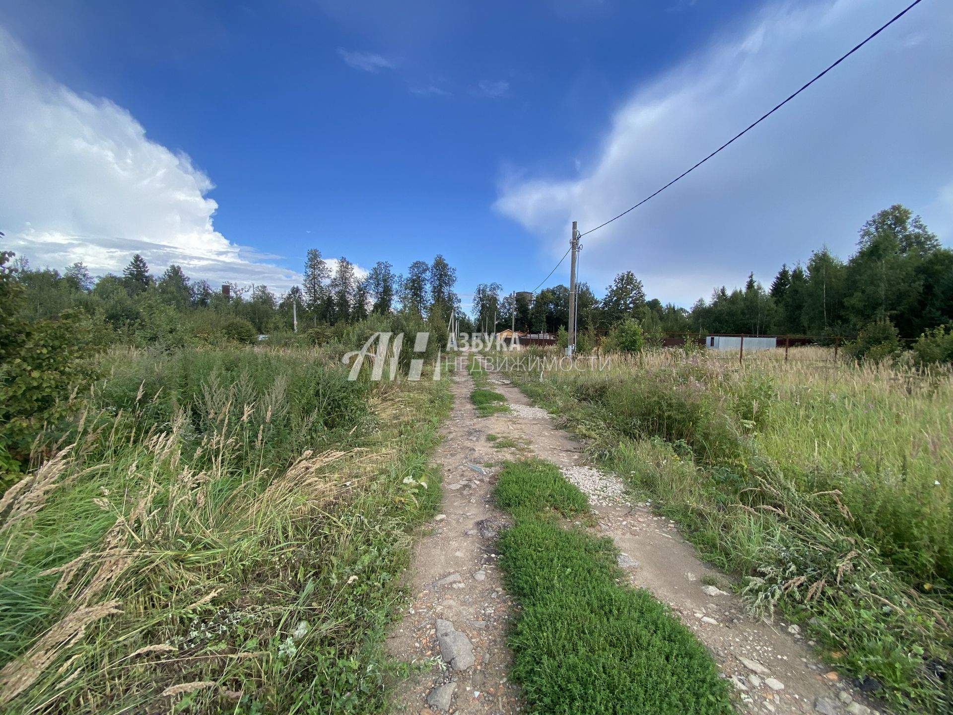 Земли поселения Московская область, Одинцовский городской округ, посёлок Покровское, Дачная улица