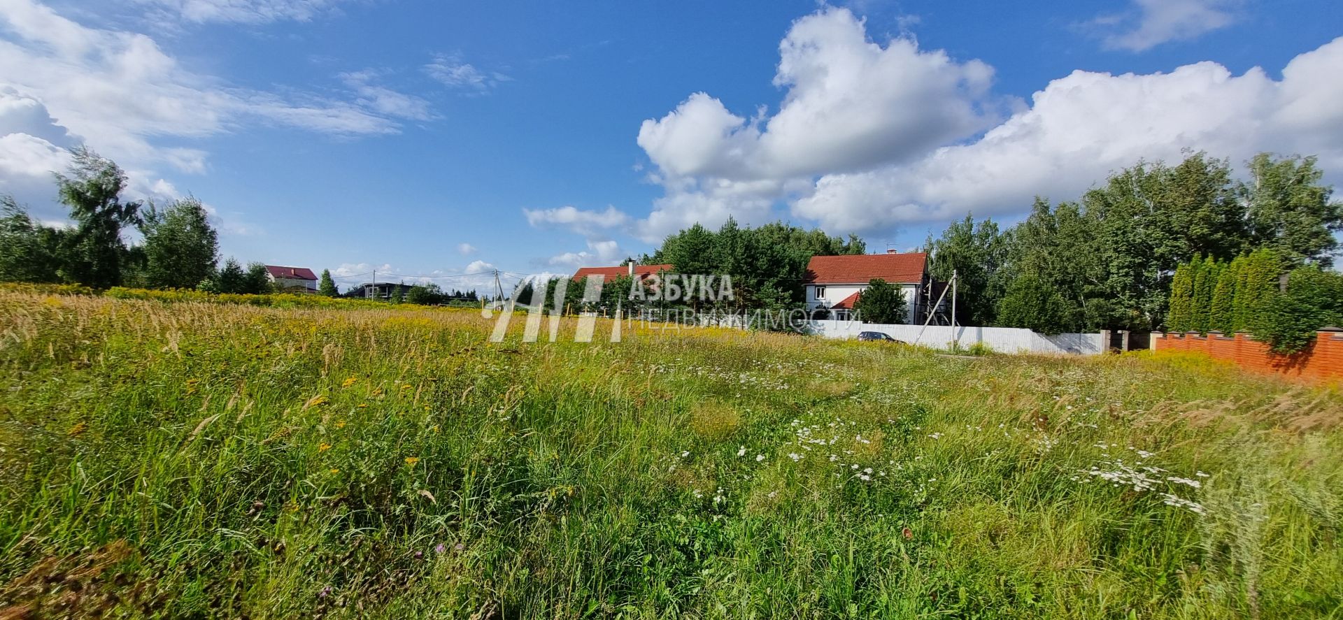  Московская область, Одинцовский городской округ, деревня Борки