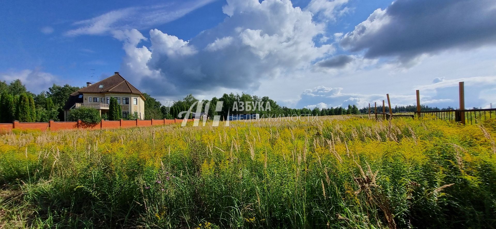  Московская область, Одинцовский городской округ, деревня Борки