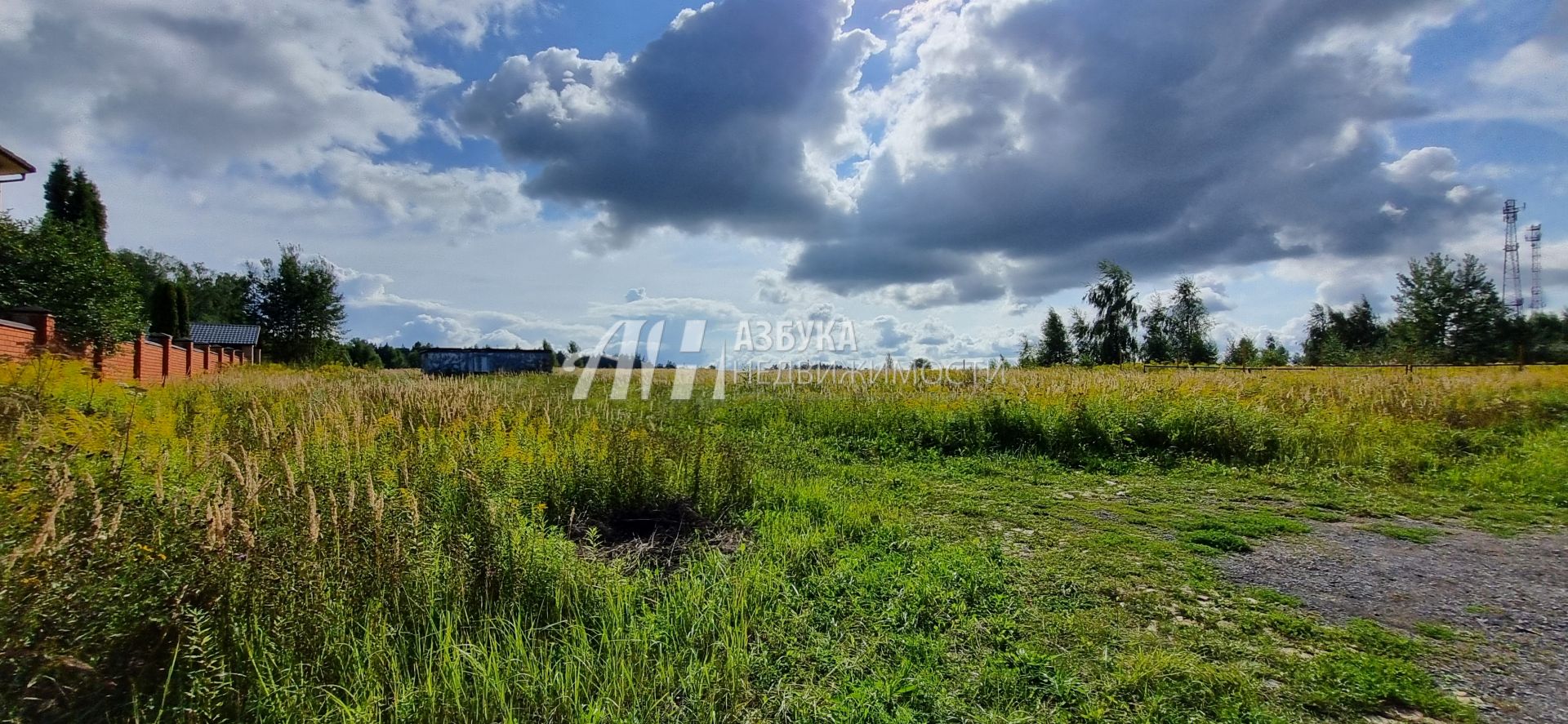  Московская область, Одинцовский городской округ, деревня Борки