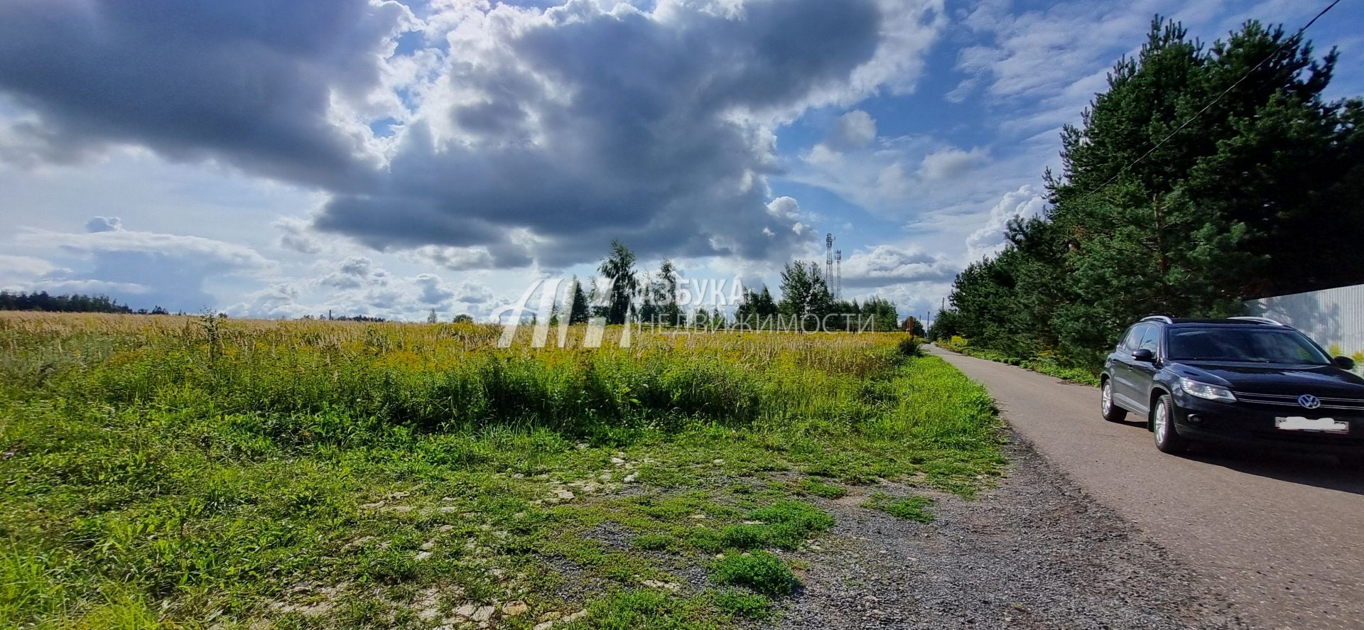  Московская область, Одинцовский городской округ, деревня Борки