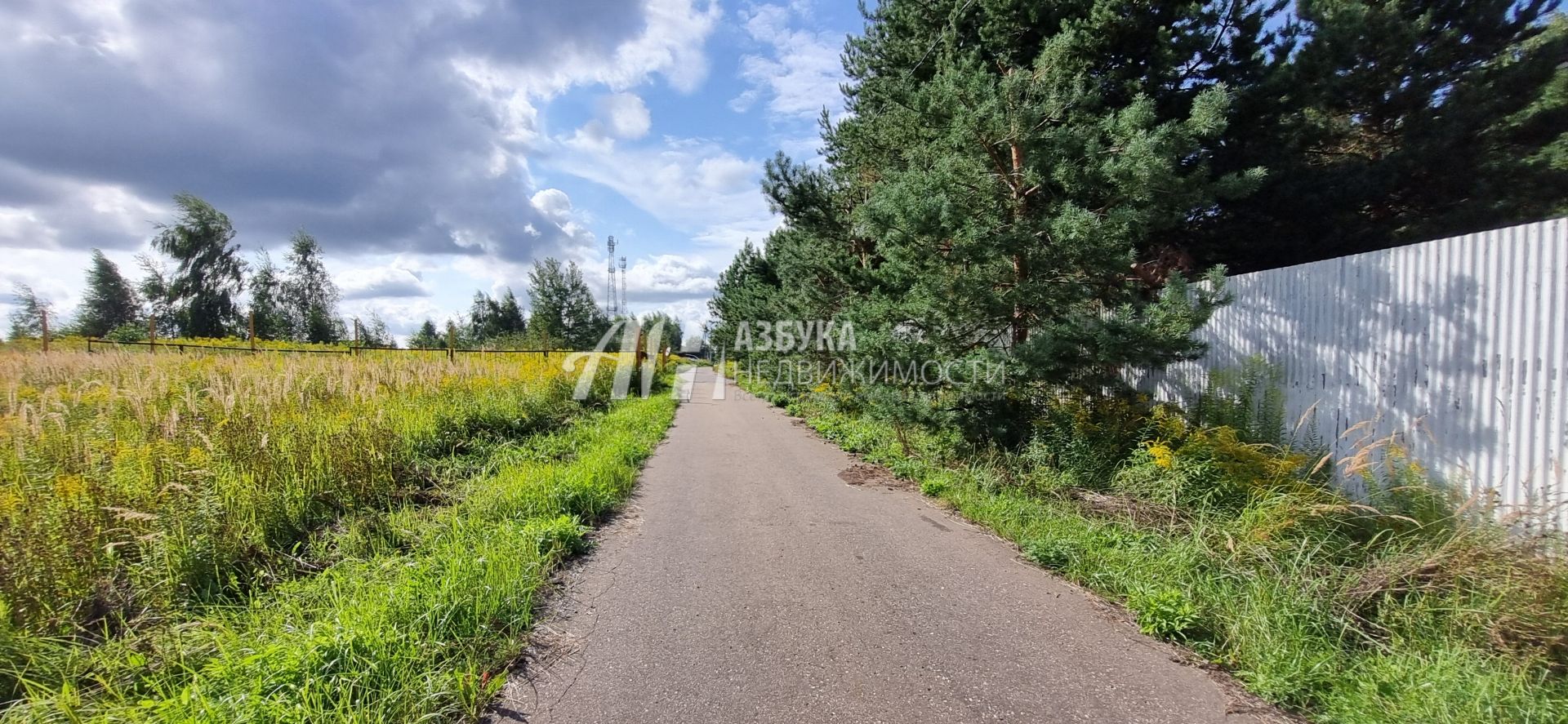  Московская область, Одинцовский городской округ, деревня Борки