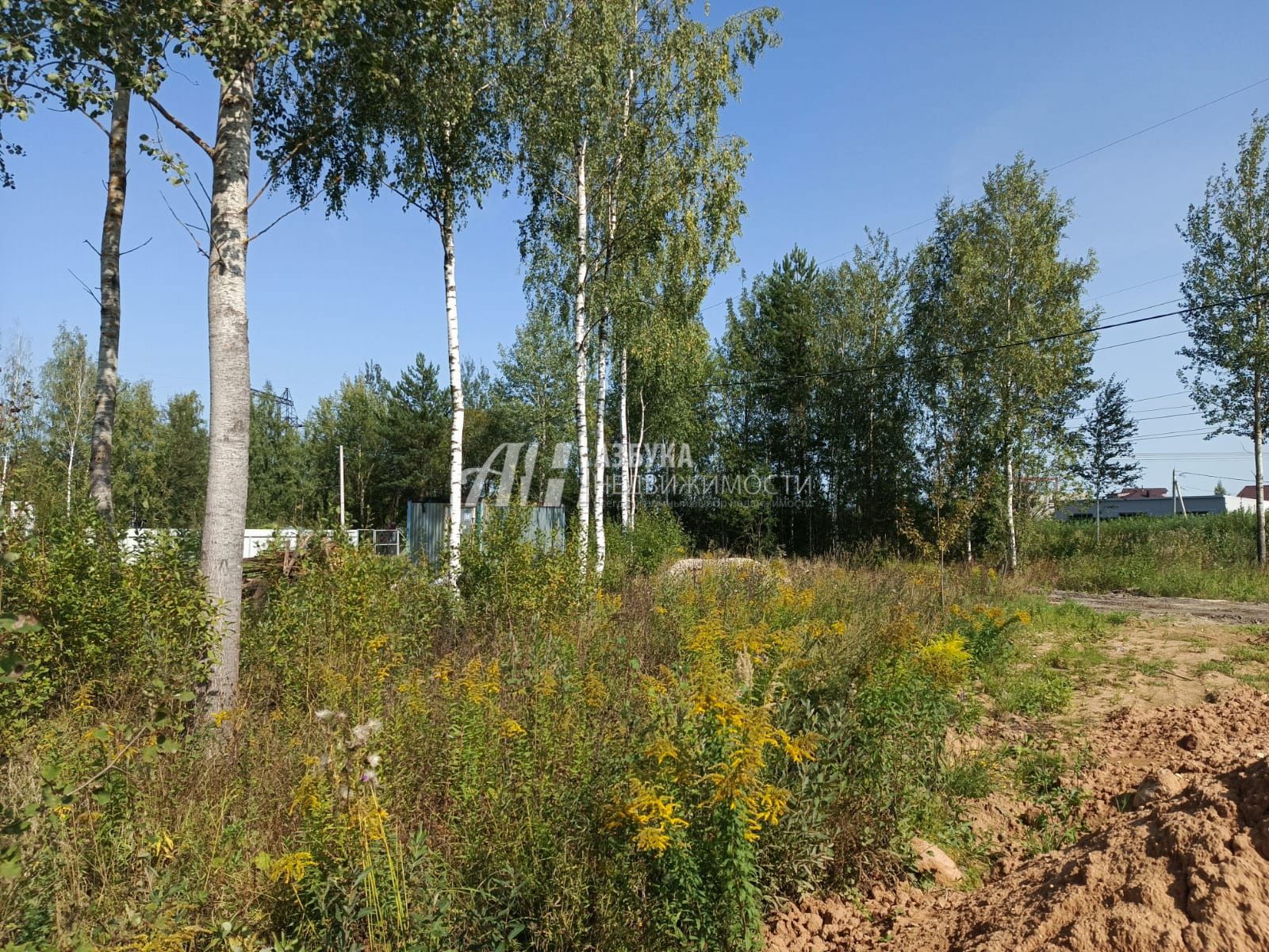 Земли сельхозназначения Московская область, городской округ Химки, квартал дачной застройки Кранкино, Изумрудная улица