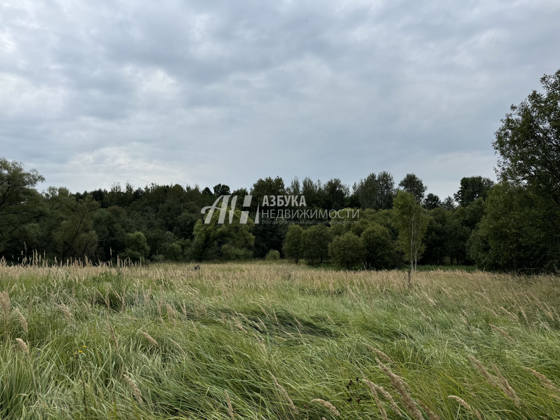 Земли поселения Московская область, Одинцовский городской округ, деревня Спасское