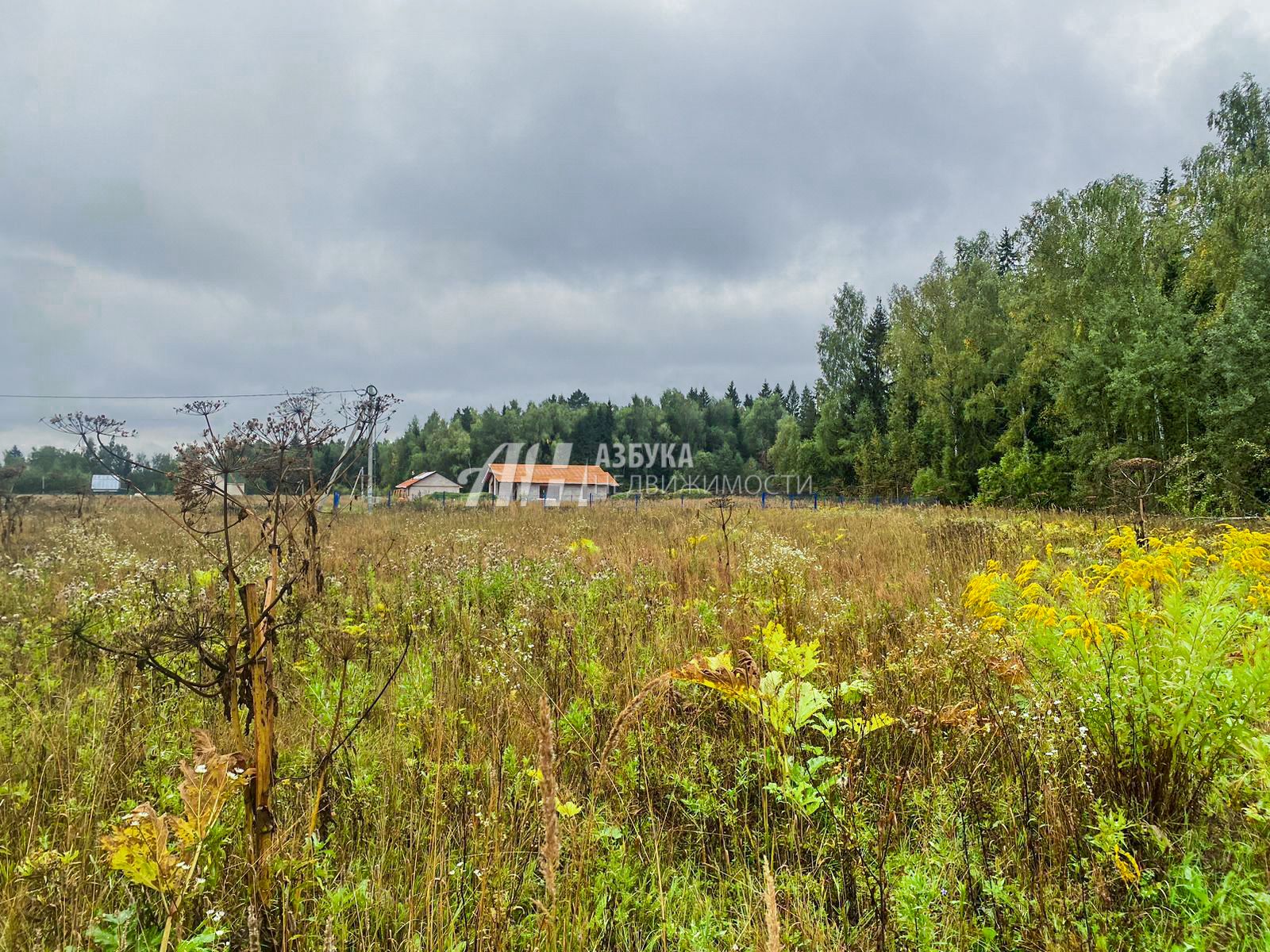 Земли поселения Московская область, Наро-Фоминский городской округ, деревня Берюлёво