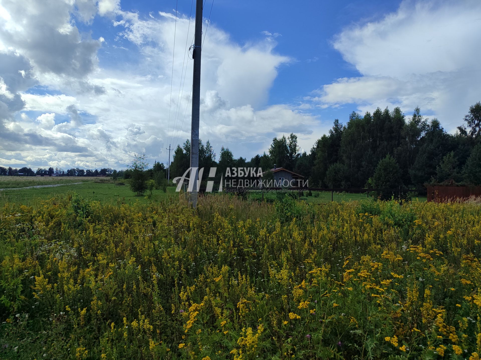 Земли поселения Московская область, Рузский городской округ, деревня Волынщино