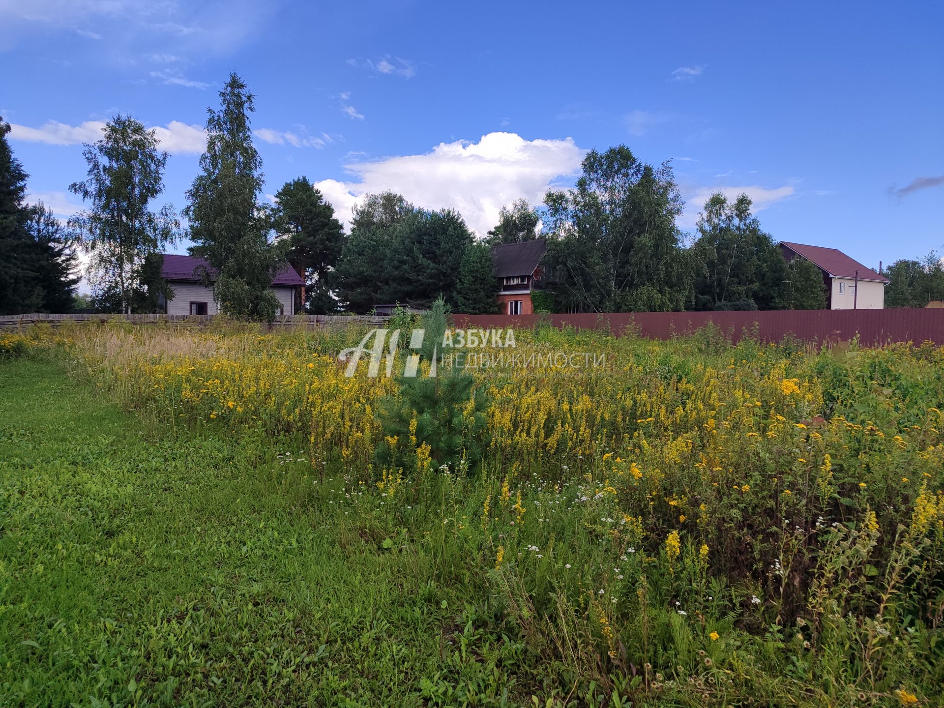 Земли поселения Московская область, Рузский городской округ, деревня Волынщино