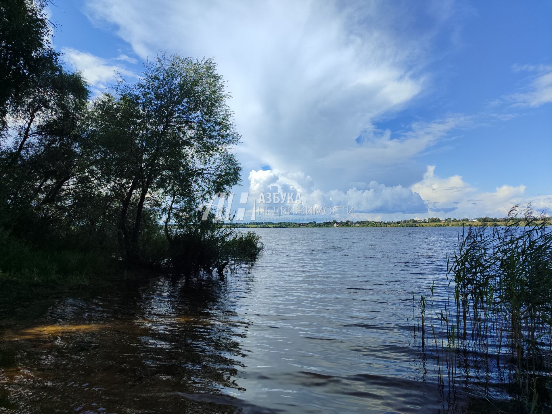 Земли поселения Московская область, Рузский городской округ, деревня Волынщино