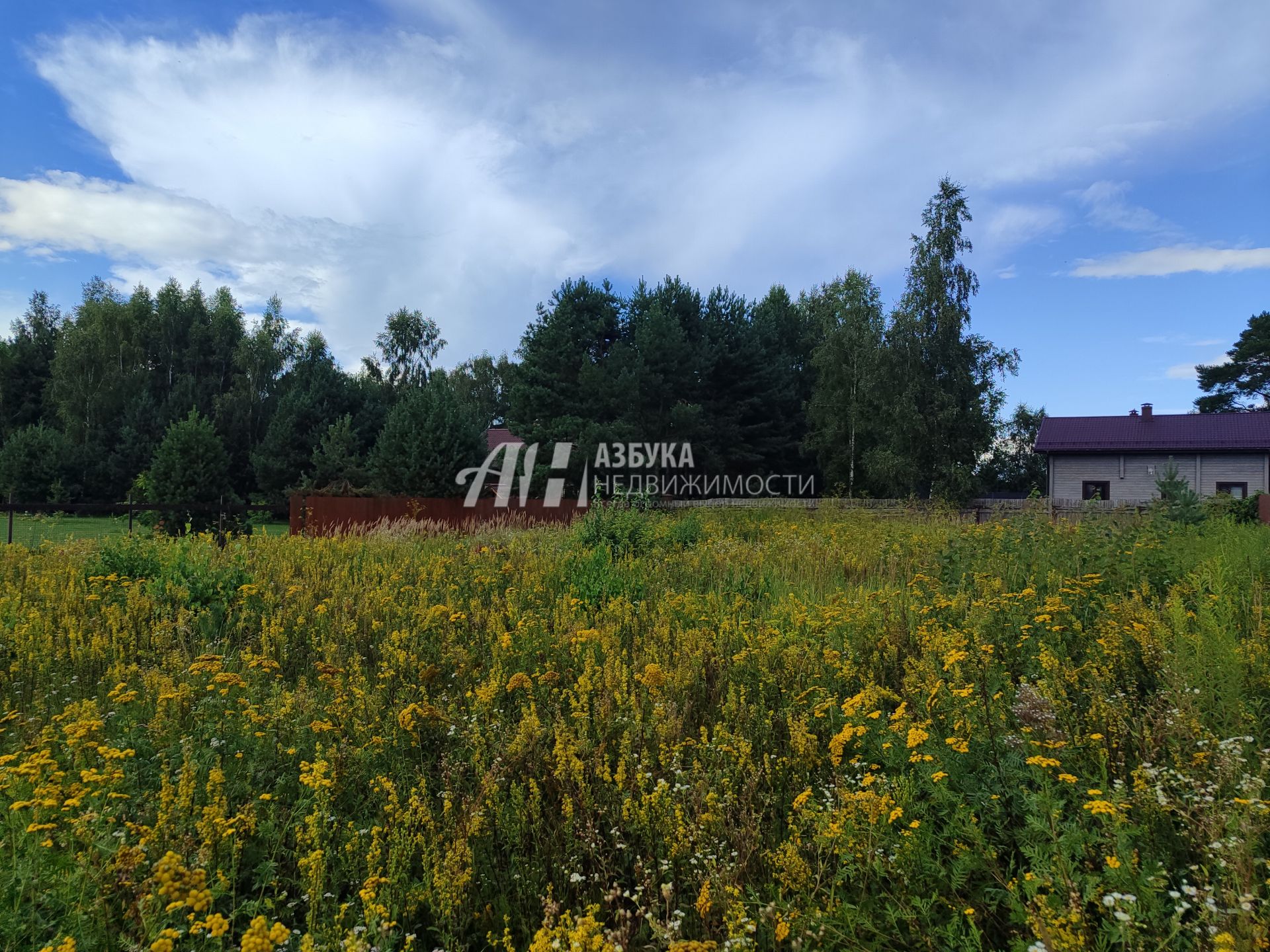 Земли поселения Московская область, Рузский городской округ, деревня Волынщино