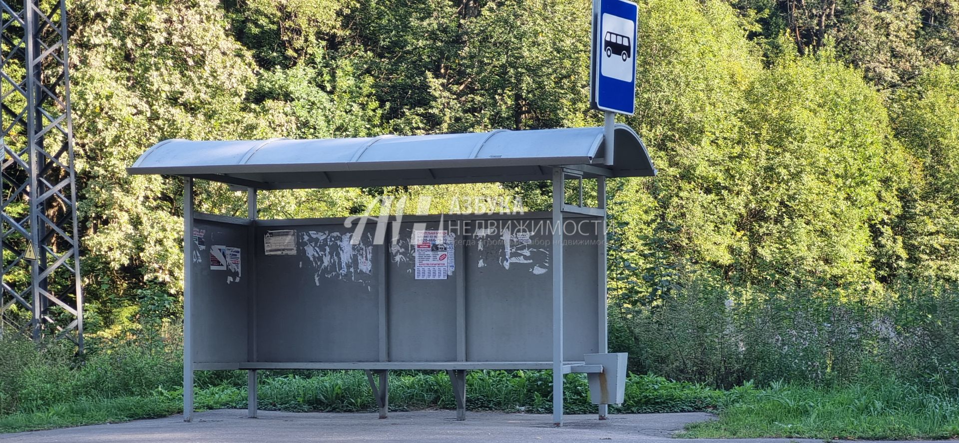  Московская область, Одинцовский городской округ, деревня Палицы