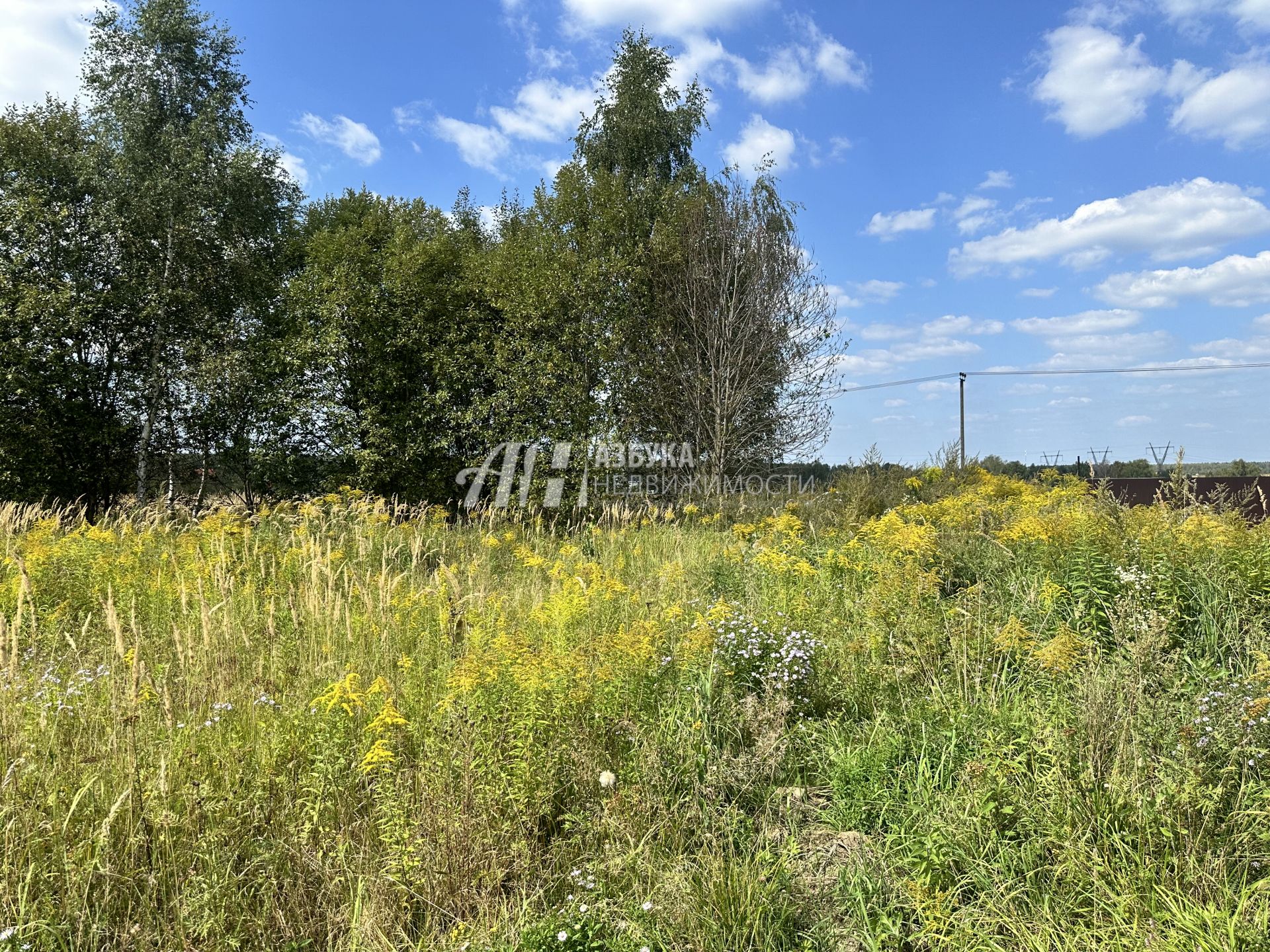 Земли поселения Московская область, Чехов, Репниковская улица