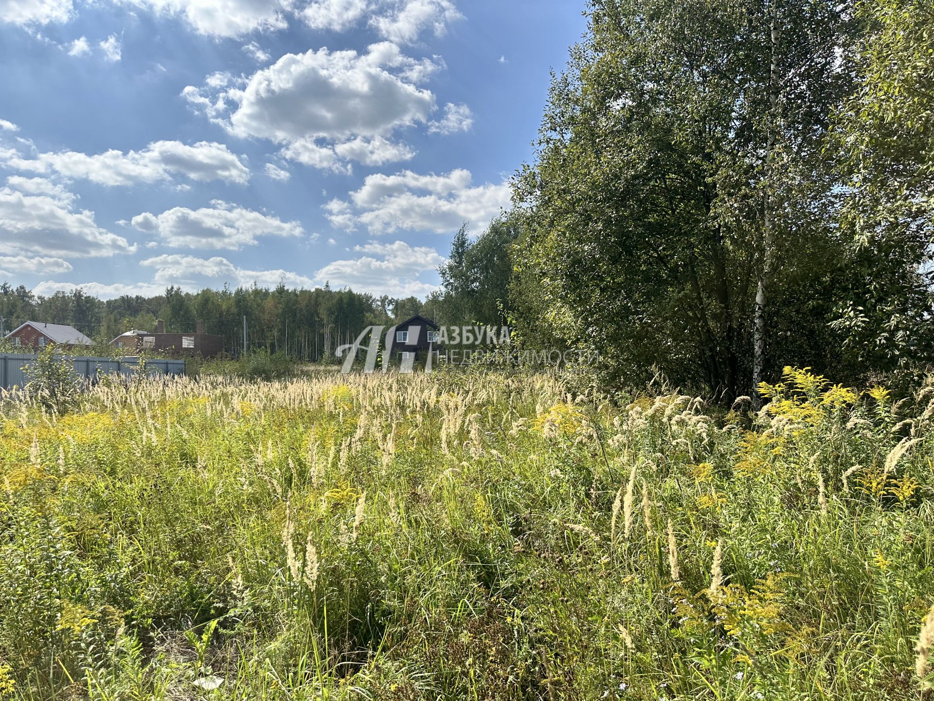 Земли поселения Московская область, Чехов, Репниковская улица