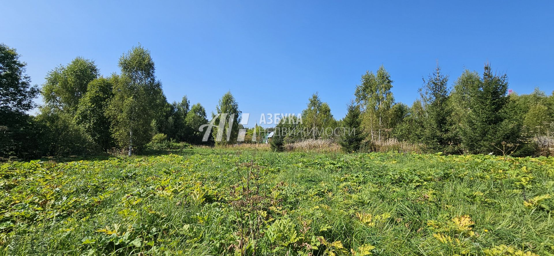 Земли поселения Московская область, Рузский городской округ, деревня Новокурово