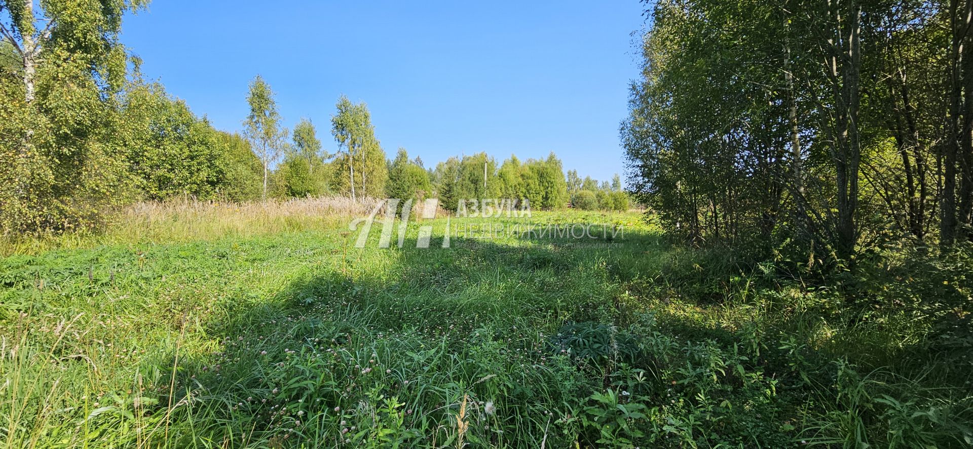 Земли поселения Московская область, Рузский городской округ, деревня Новокурово