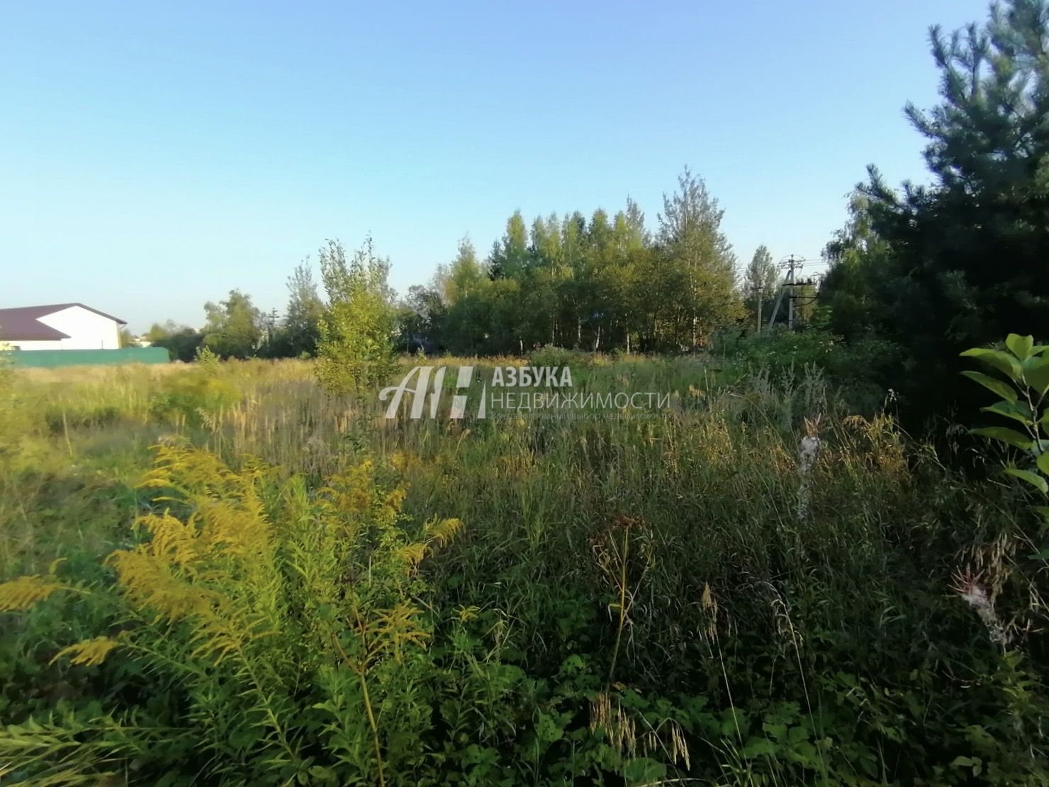 Земли поселения Московская область, Одинцовский городской округ, деревня Митькино