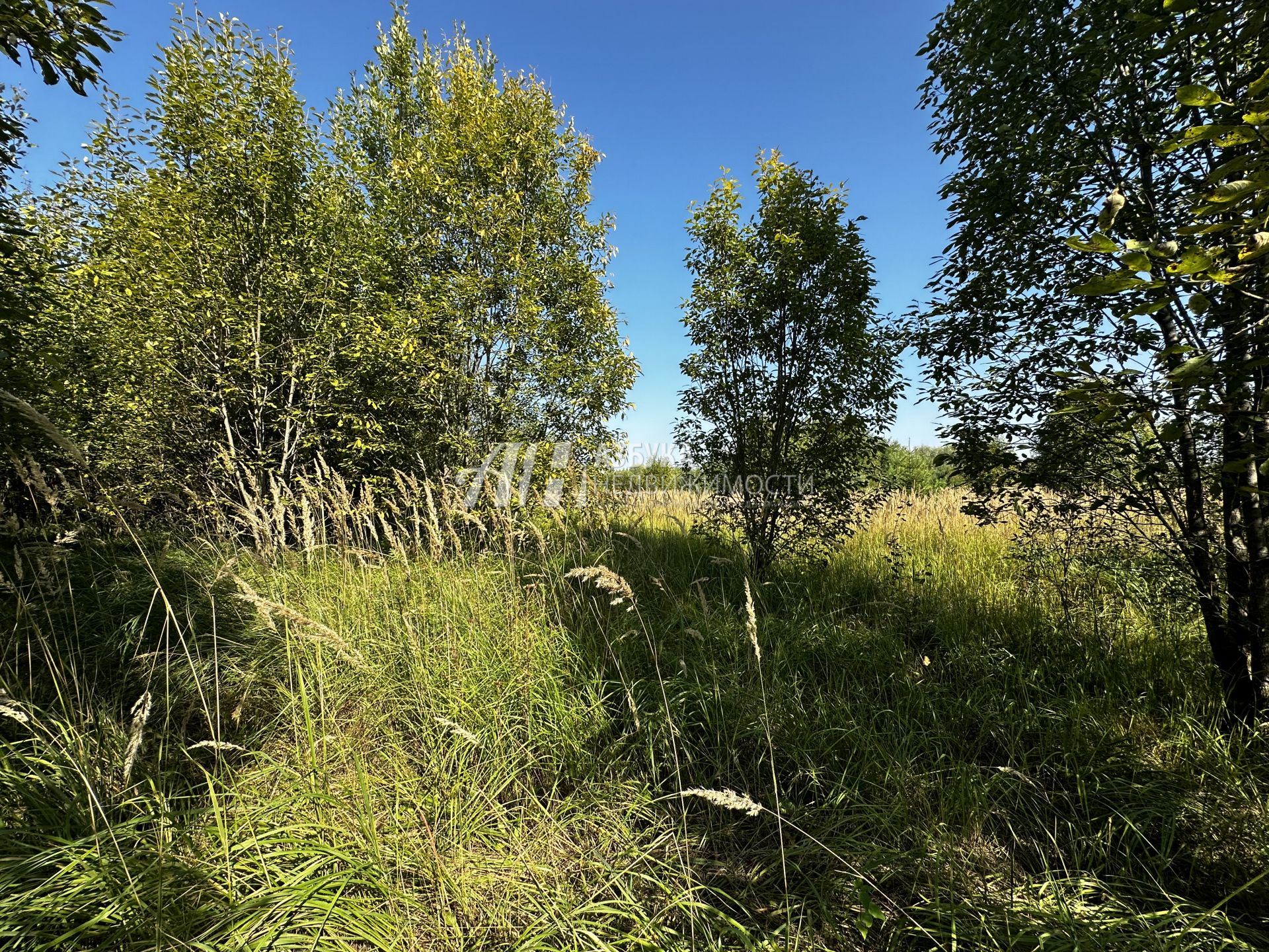 Земли сельхозназначения Московская область, городской округ Истра, деревня Котово, квартал 0060115