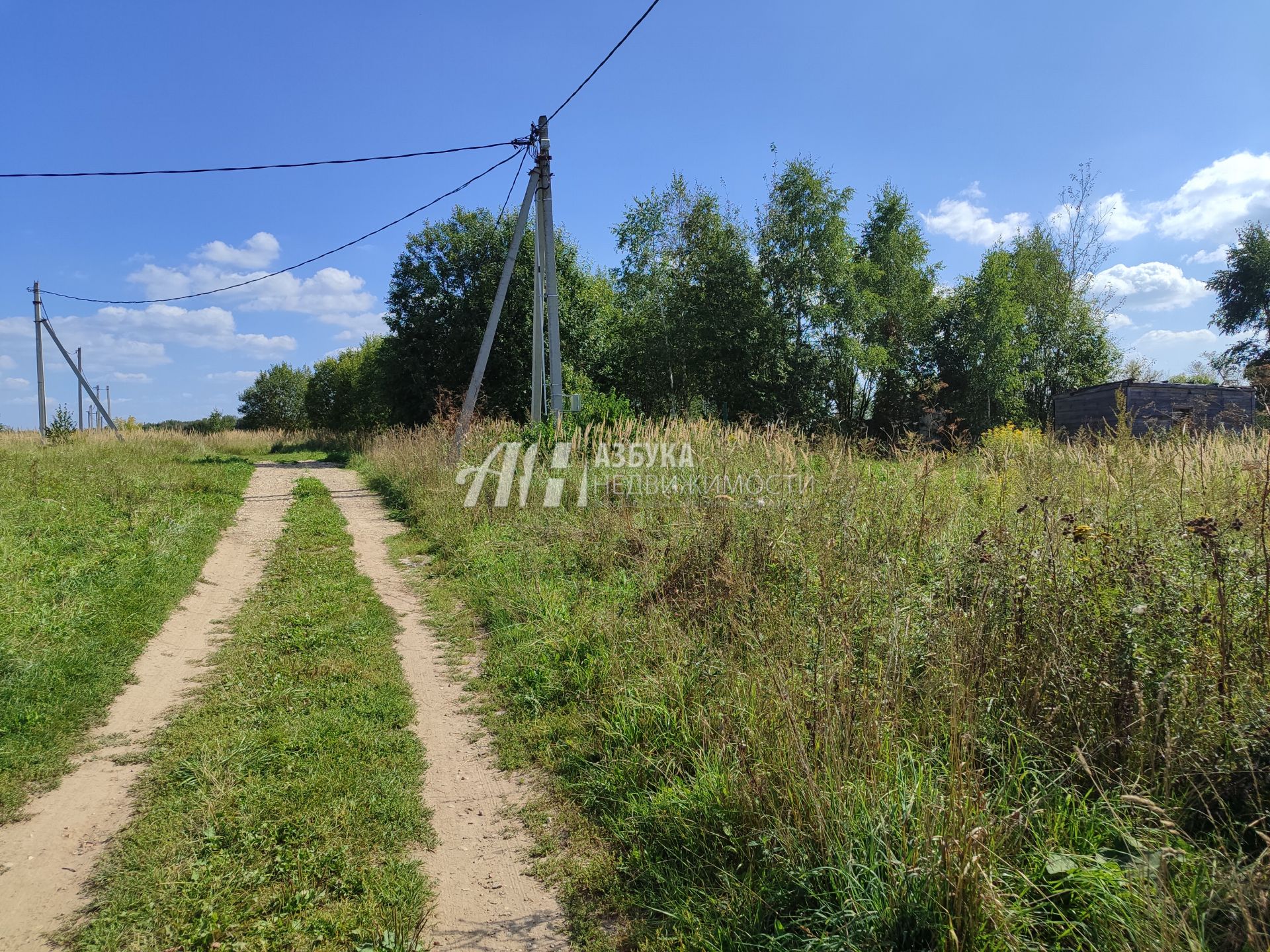 Земли поселения Московская область, Одинцовский городской округ, деревня Крутицы