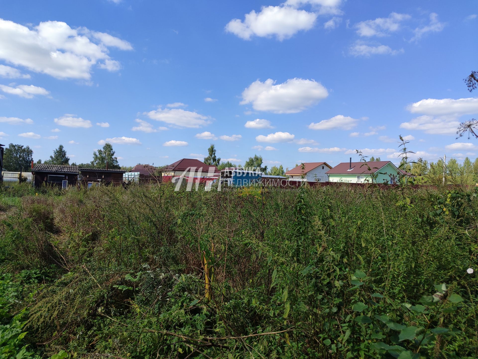 Земли поселения Московская область, Одинцовский городской округ, деревня Крутицы