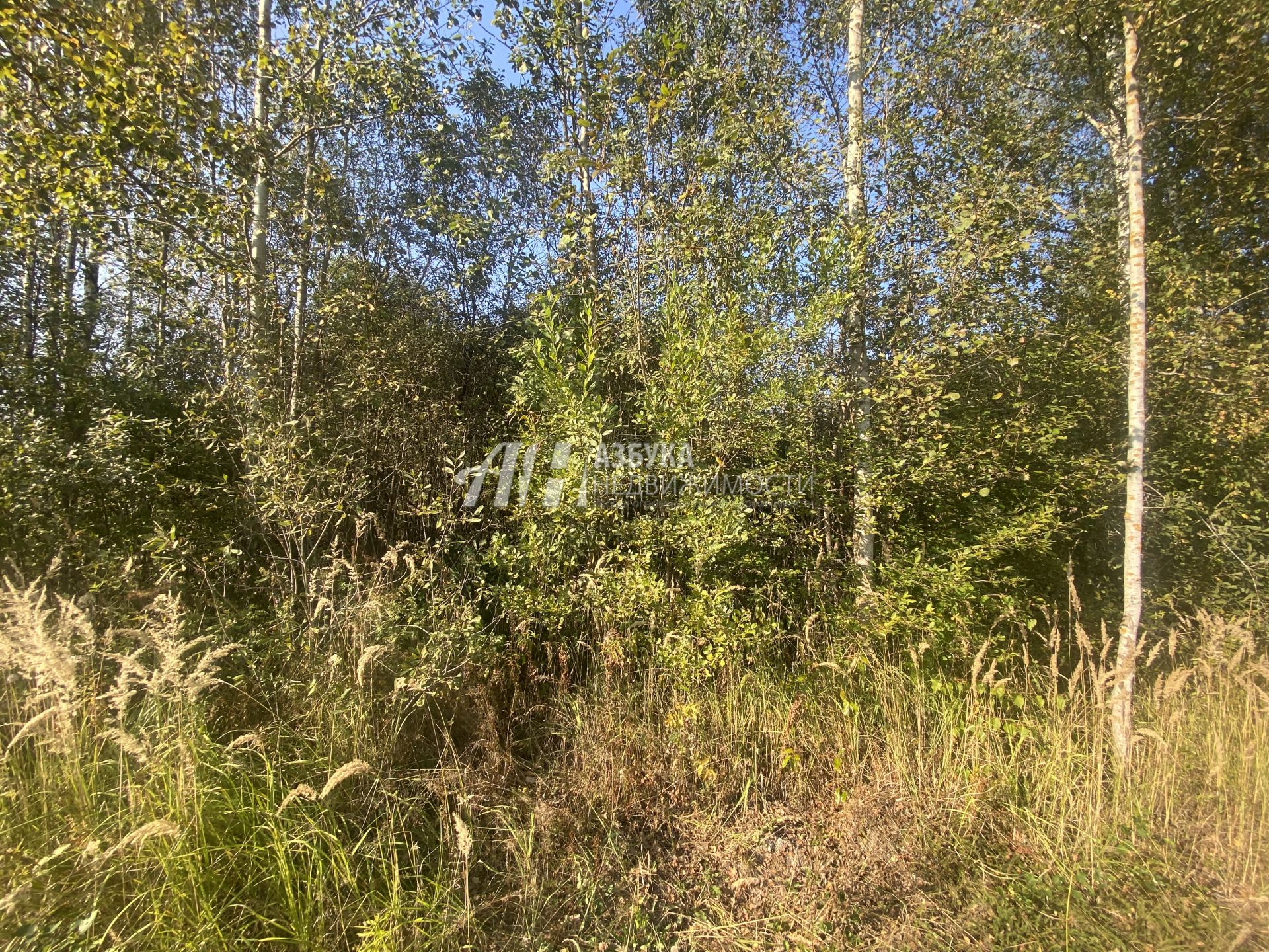 Земли поселения Московская область, Наро-Фоминский городской округ, деревня Любаново