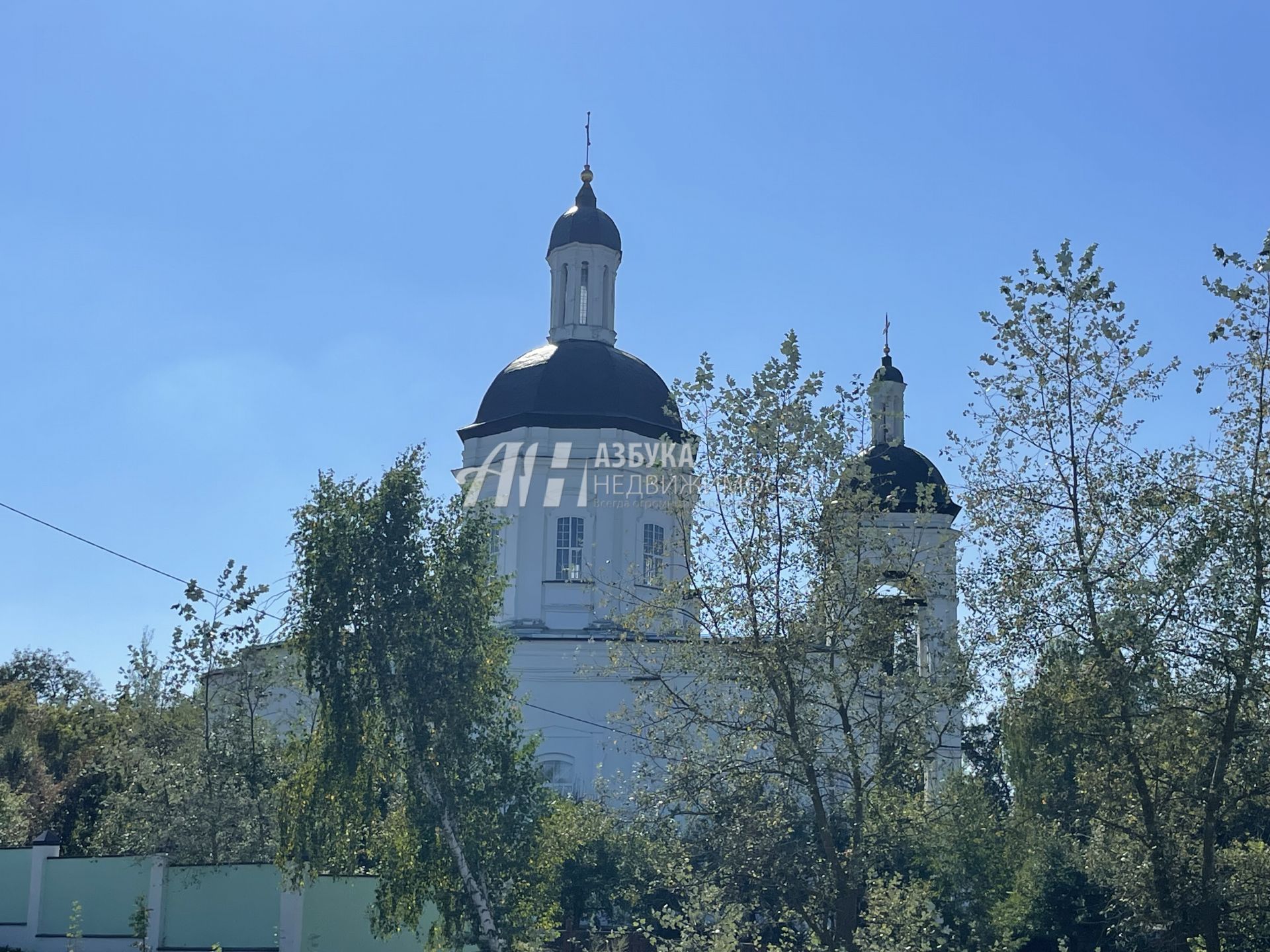 Земли поселения Московская область, городской округ Пушкинский, село Ельдигино, Лесная улица