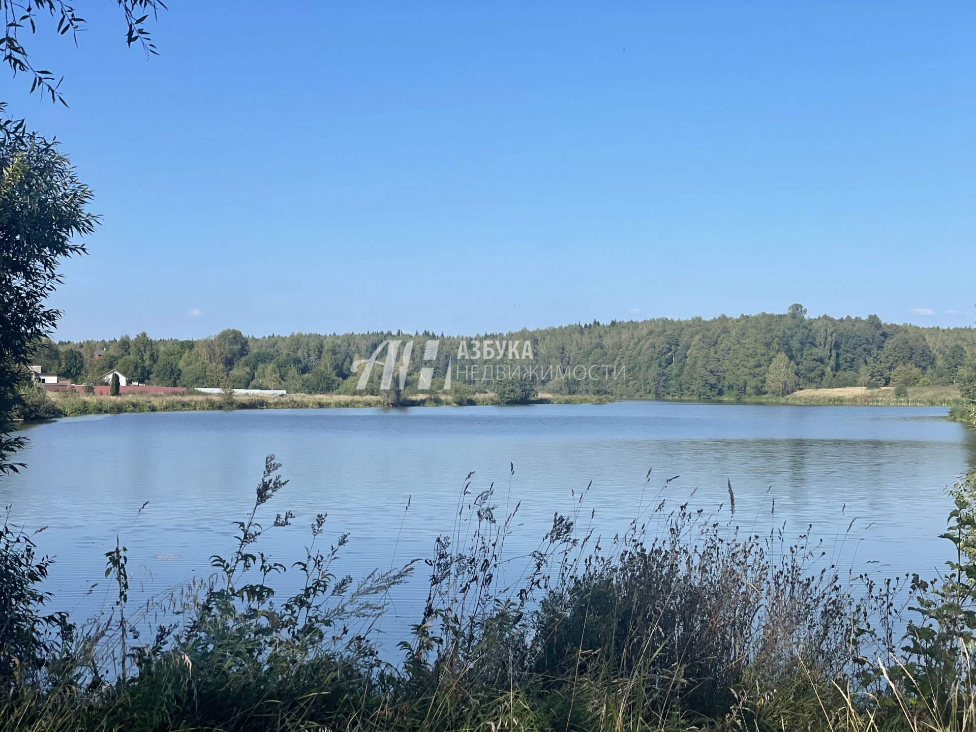 Земли поселения Московская область, городской округ Пушкинский, село Ельдигино, Лесная улица