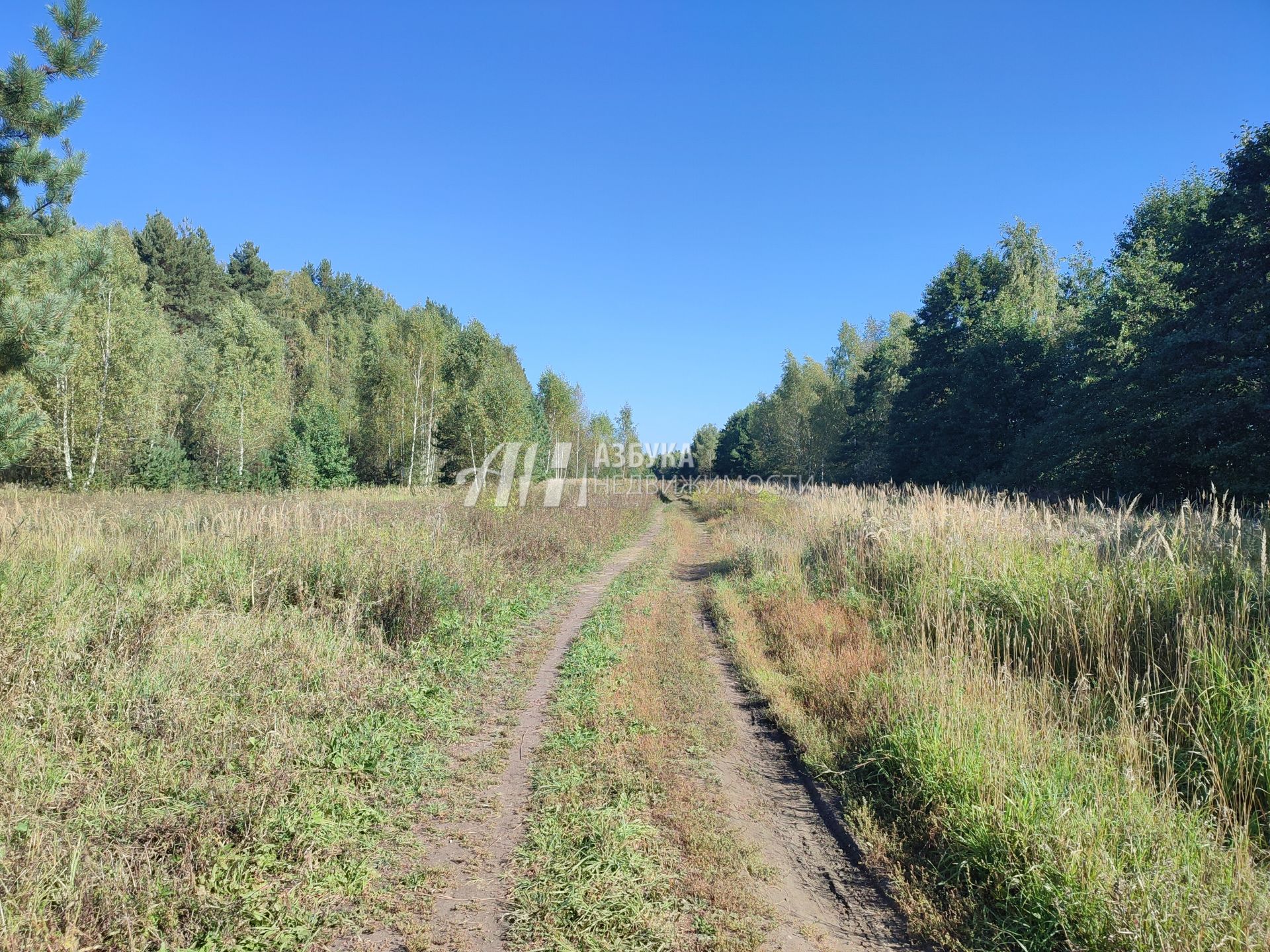 Земли сельхозназначения Московская область, Раменский городской округ, коттеджный посёлок Бисеровка, Заречная улица