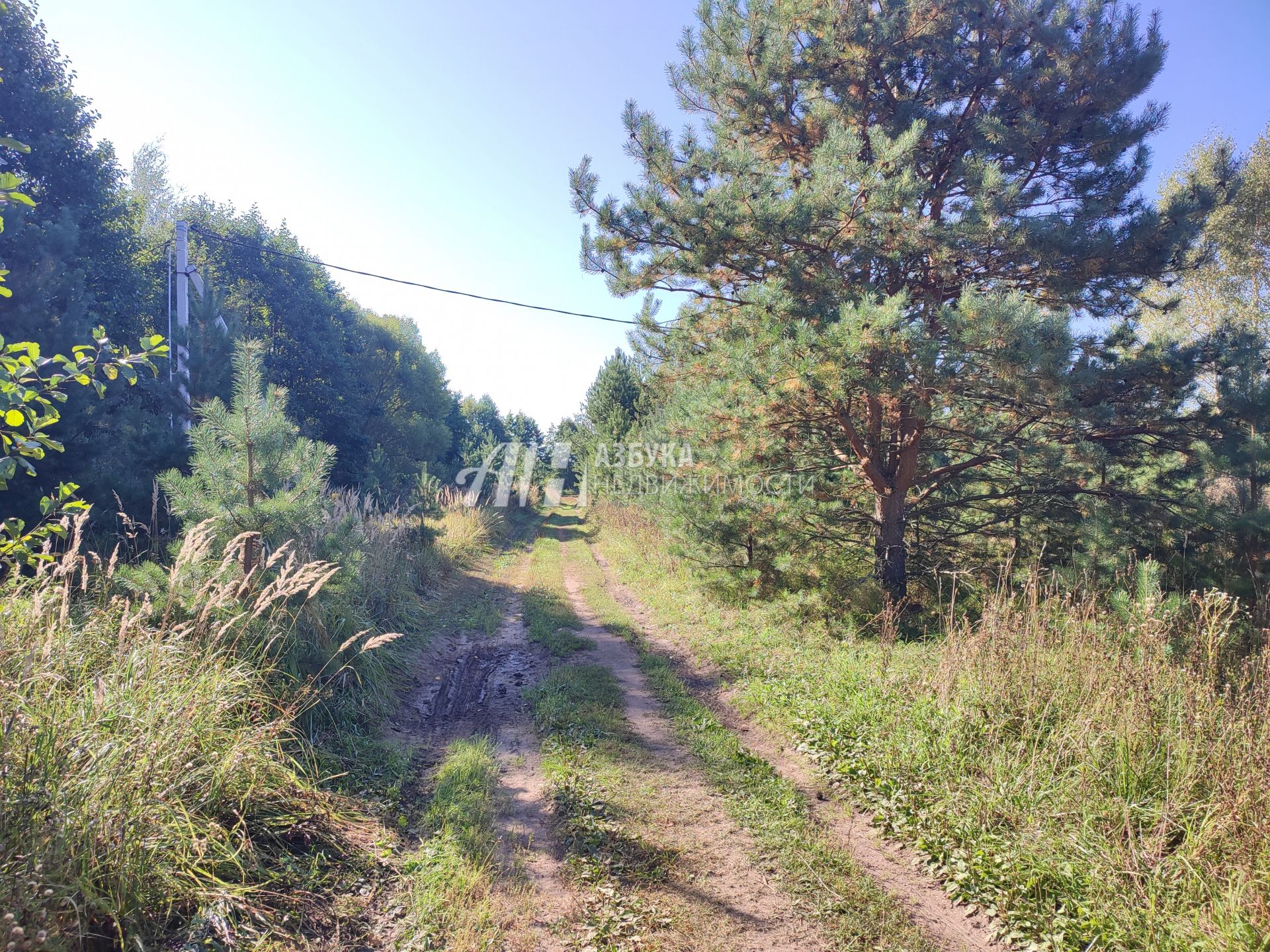 Земли сельхозназначения Московская область, Раменский городской округ, коттеджный посёлок Бисеровка, Заречная улица