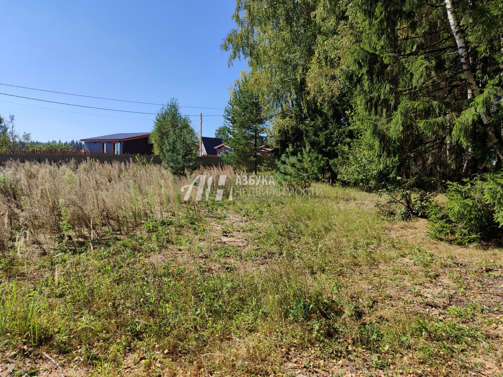 Земли поселения Московская область, Рузский городской округ, деревня Палашкино, улица Доваторское Лесничество