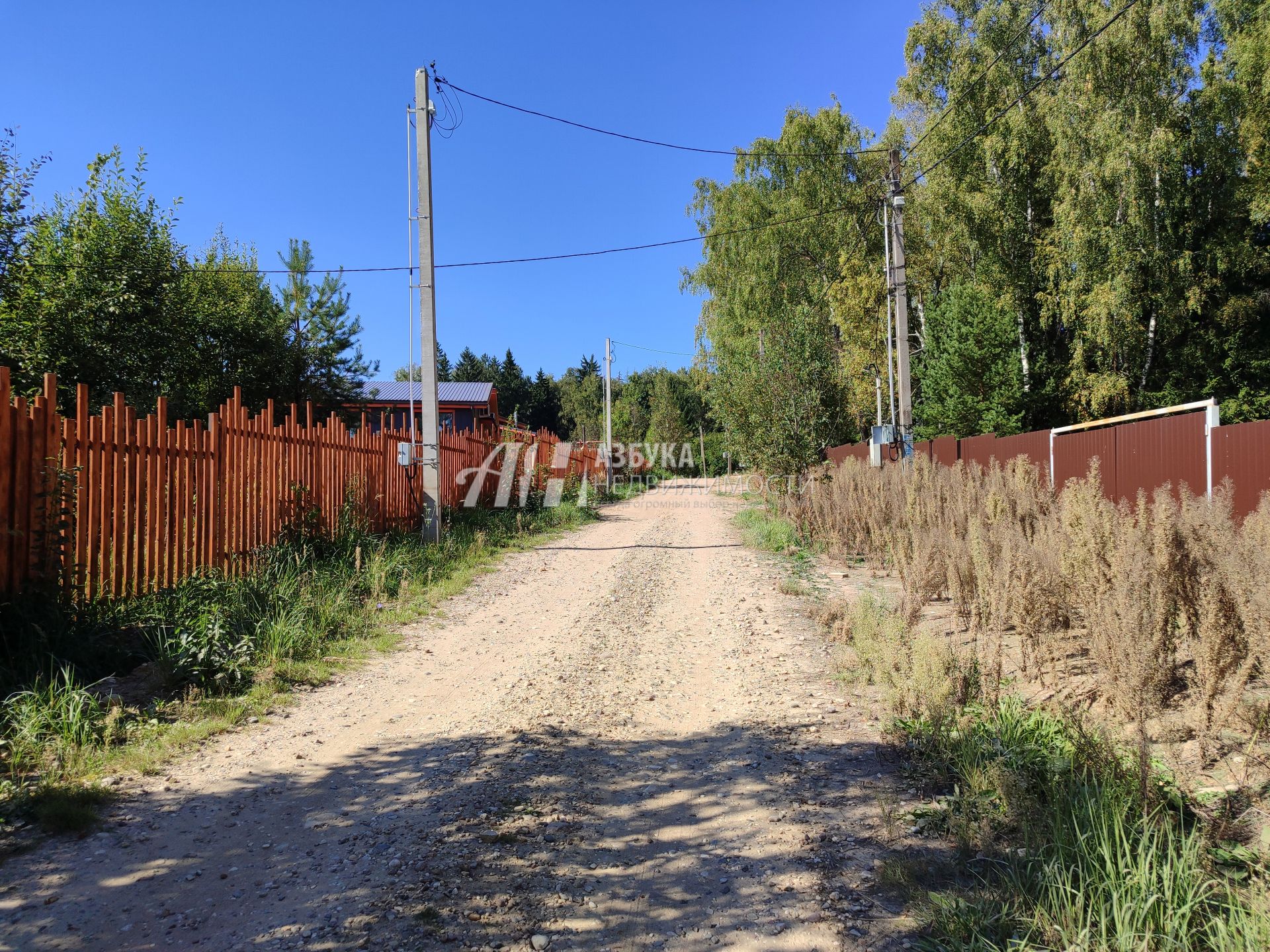 Земли поселения Московская область, Рузский городской округ, деревня Палашкино, улица Доваторское Лесничество