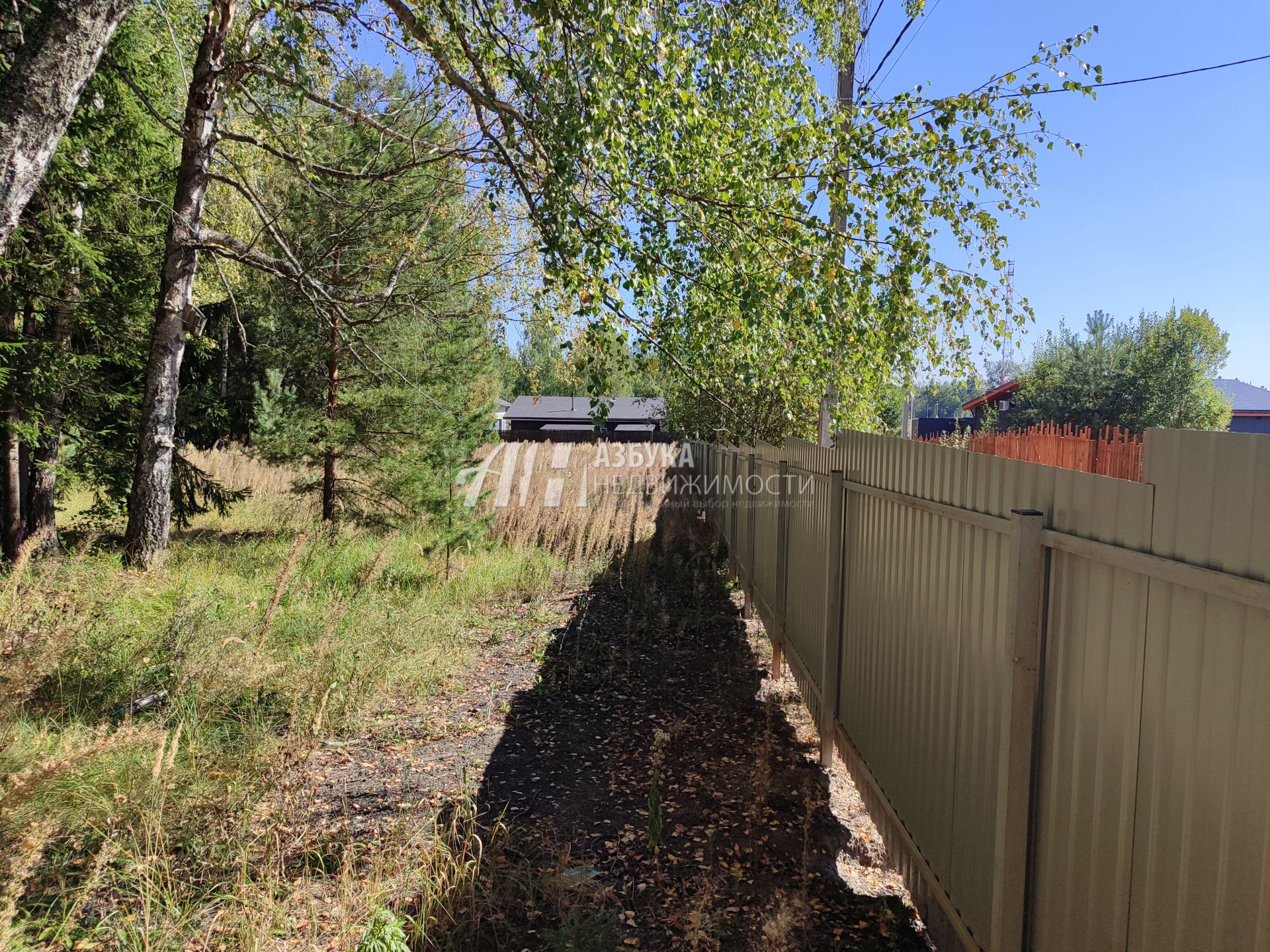 Земли поселения Московская область, Рузский городской округ, деревня Палашкино, улица Доваторское Лесничество