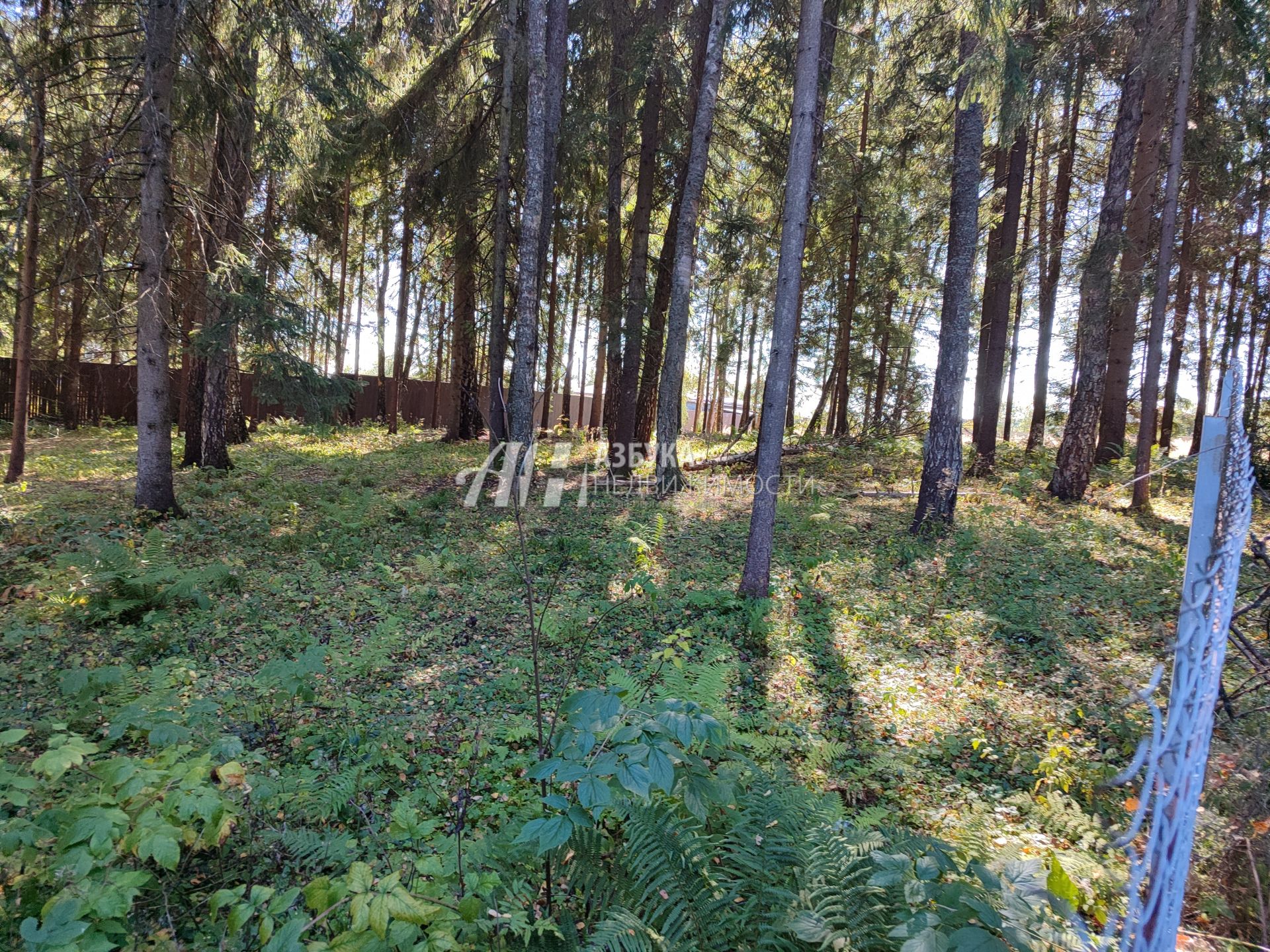 Земли поселения Московская область, Рузский городской округ, деревня Палашкино, улица Доваторское Лесничество