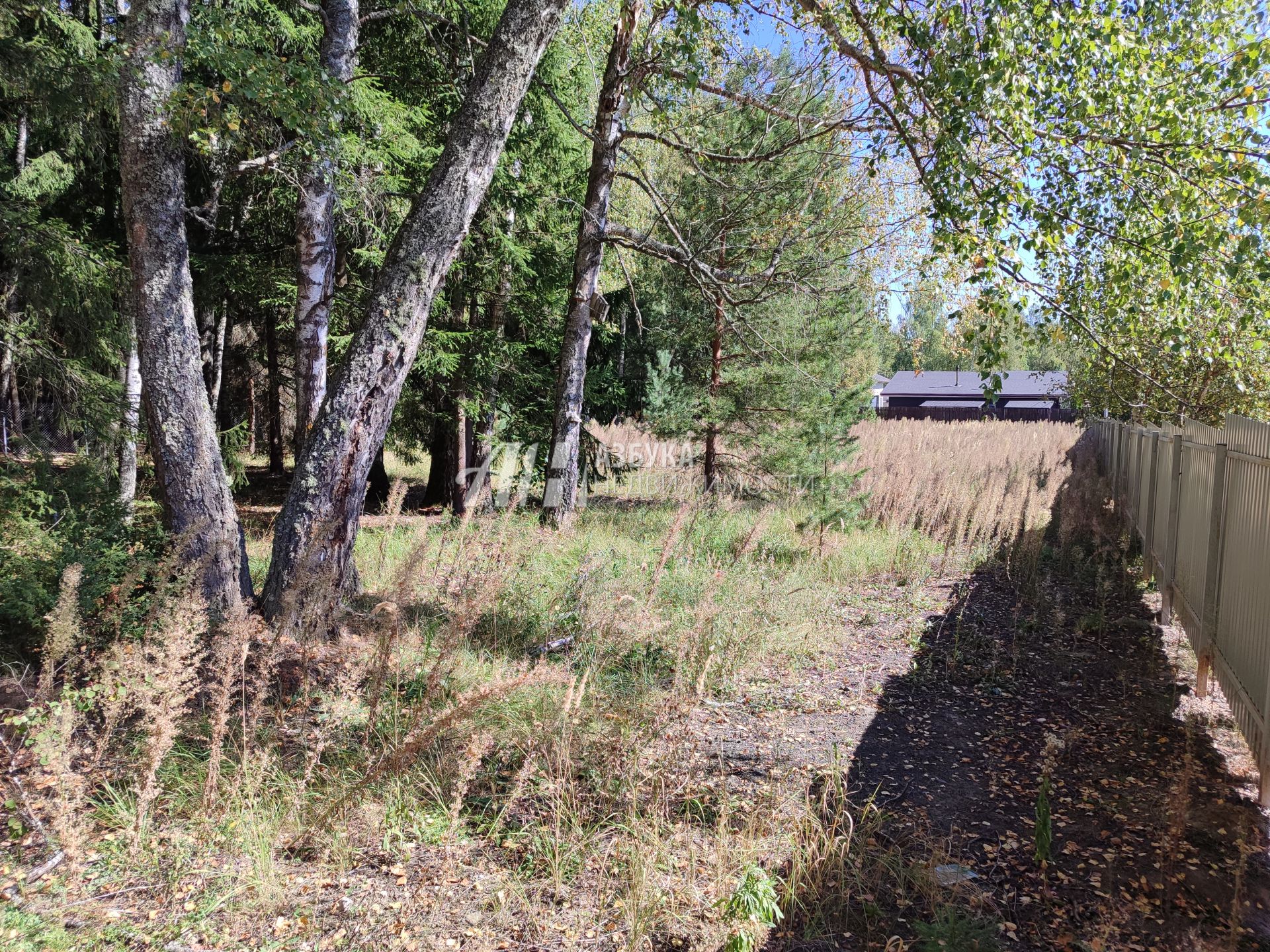 Земли поселения Московская область, Рузский городской округ, деревня Палашкино, улица Доваторское Лесничество