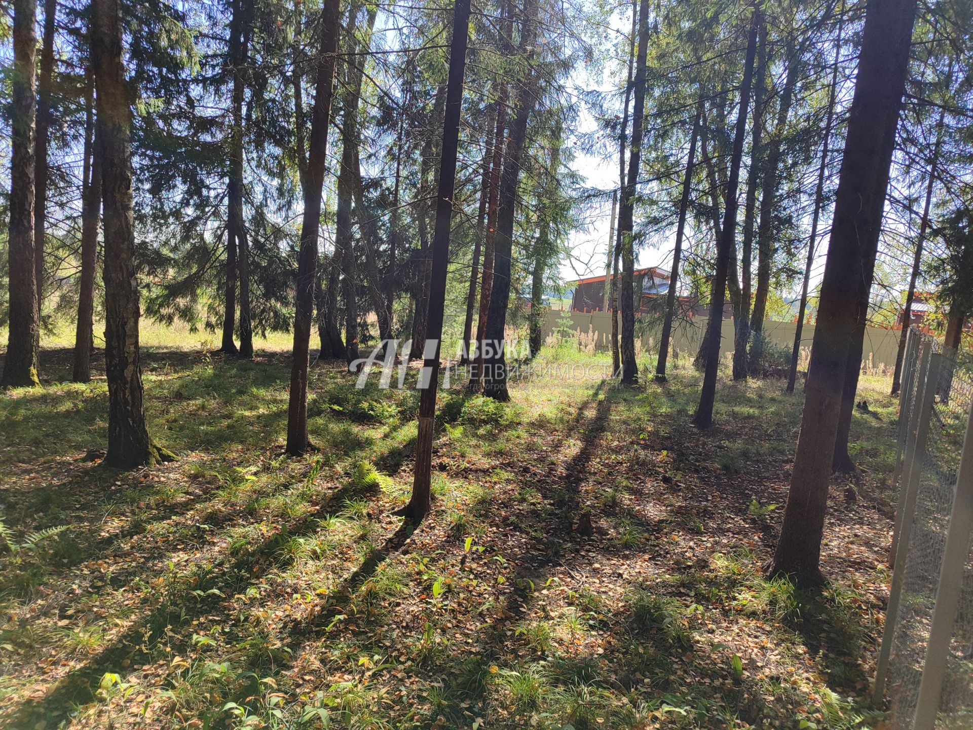 Земли поселения Московская область, Рузский городской округ, деревня Палашкино, улица Доваторское Лесничество