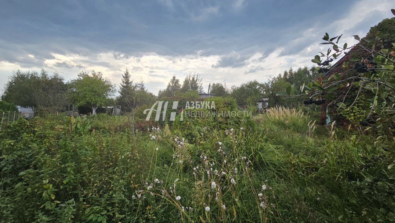 Земли поселения Московская область, Богородский городской округ, Ногинск, СНТ Сирень