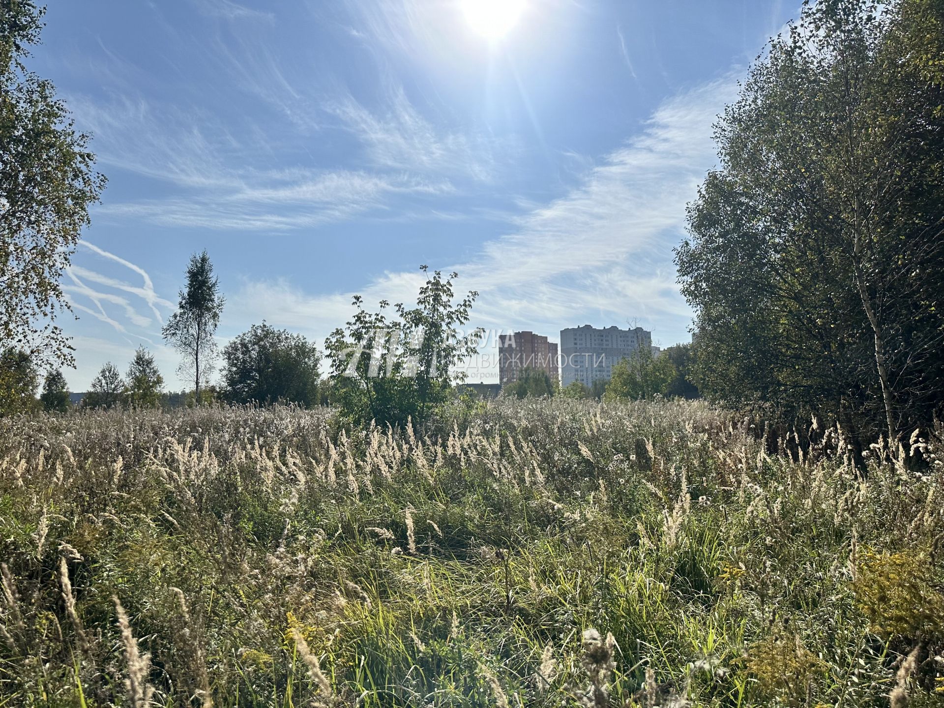 Земли поселения Московская область, Чехов