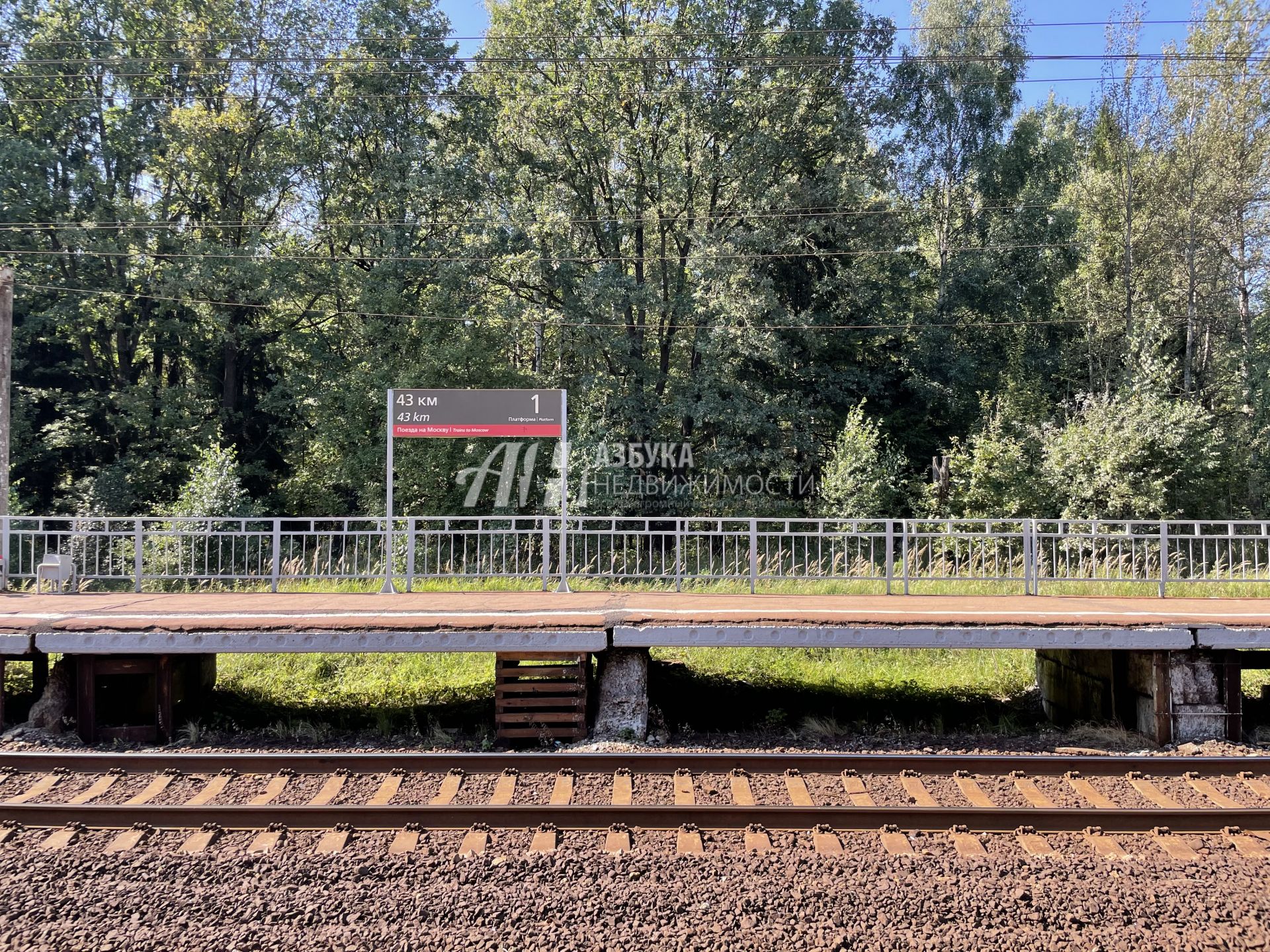 Земли поселения Московская область, городской округ Пушкинский, дачный посёлок Зеленоградский, улица Лермонтова