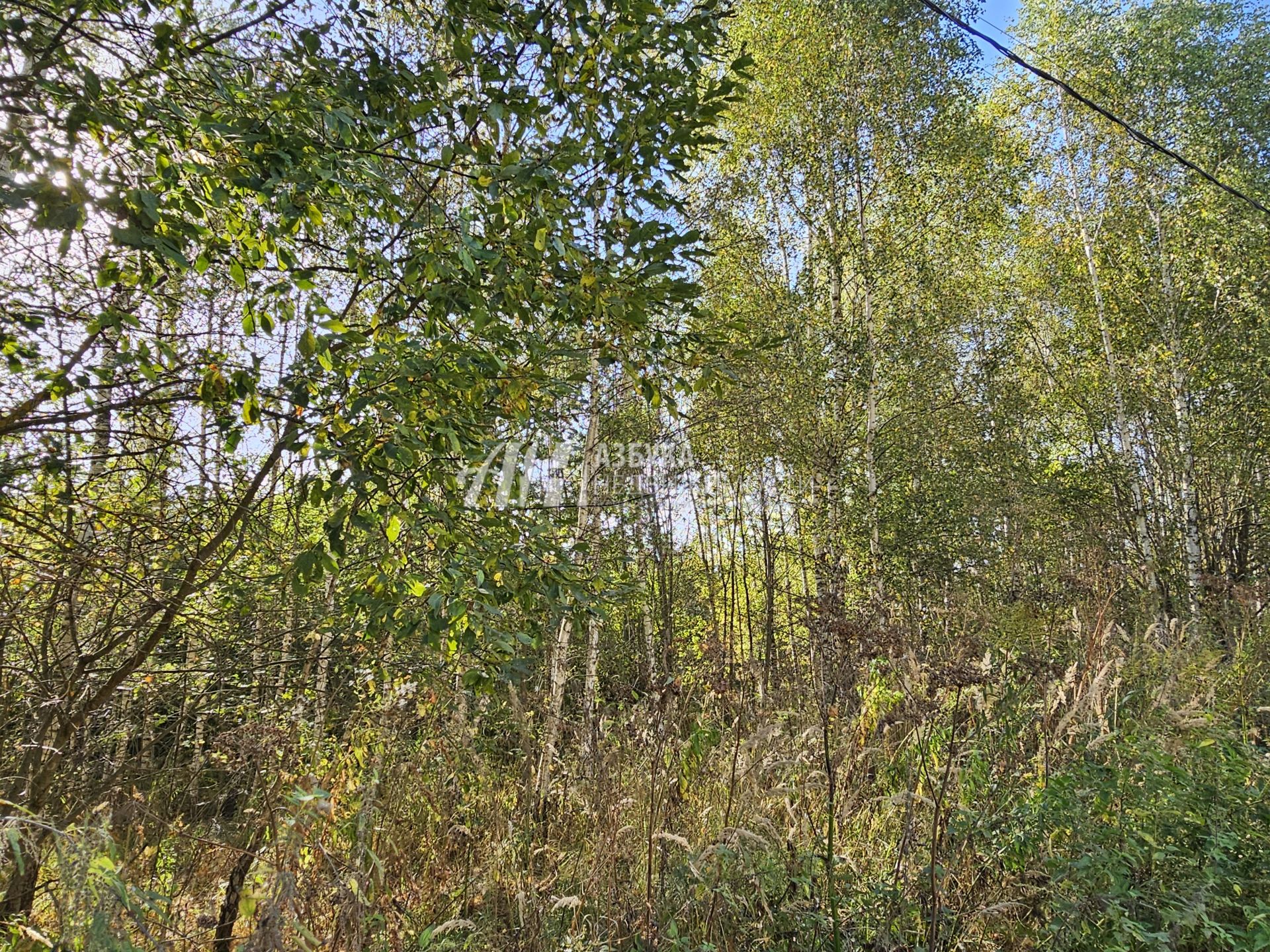 Земли поселения Московская область, Рузский городской округ, деревня Вражеское, коттеджный посёлок Руза Резорт