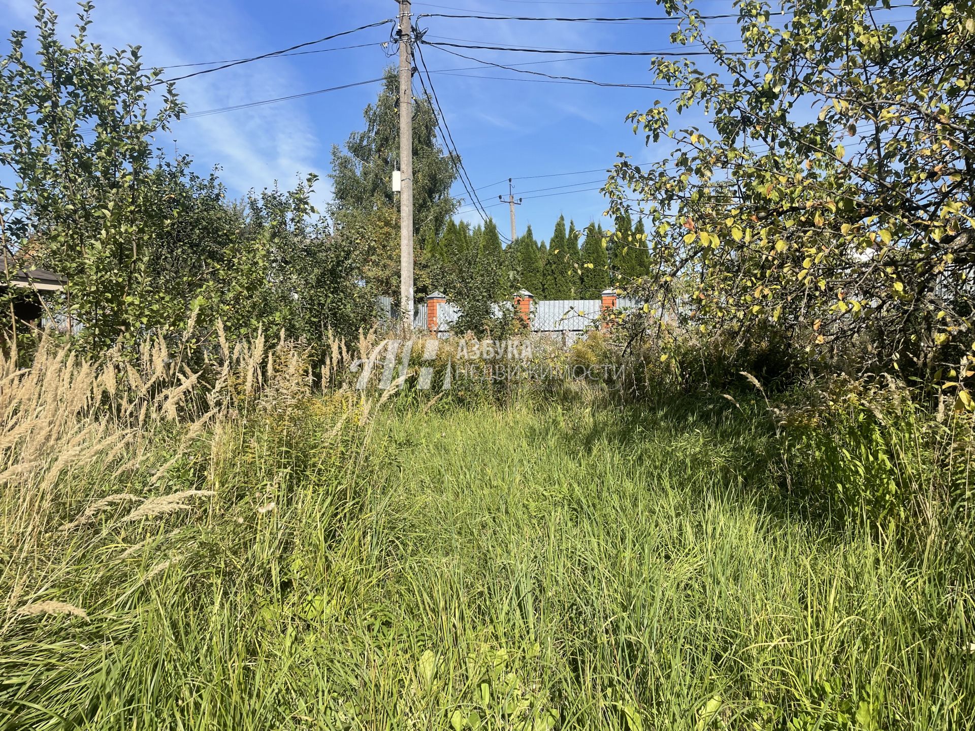 Земли поселения Московская область, городской округ Щёлково, деревня Серково