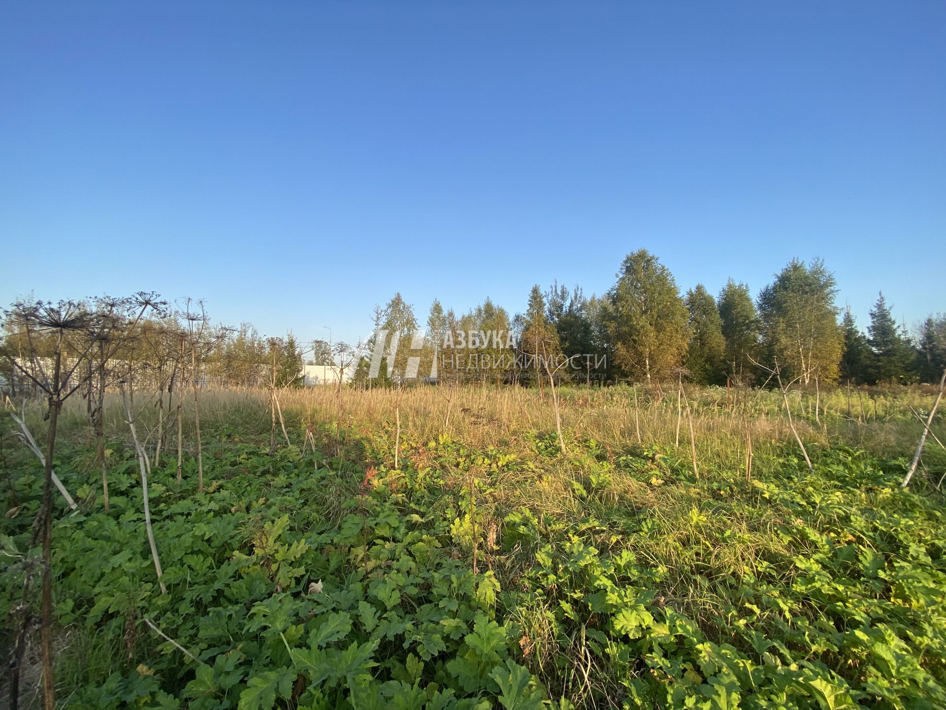 Земли поселения Московская область, Наро-Фоминский городской округ, деревня Софьино