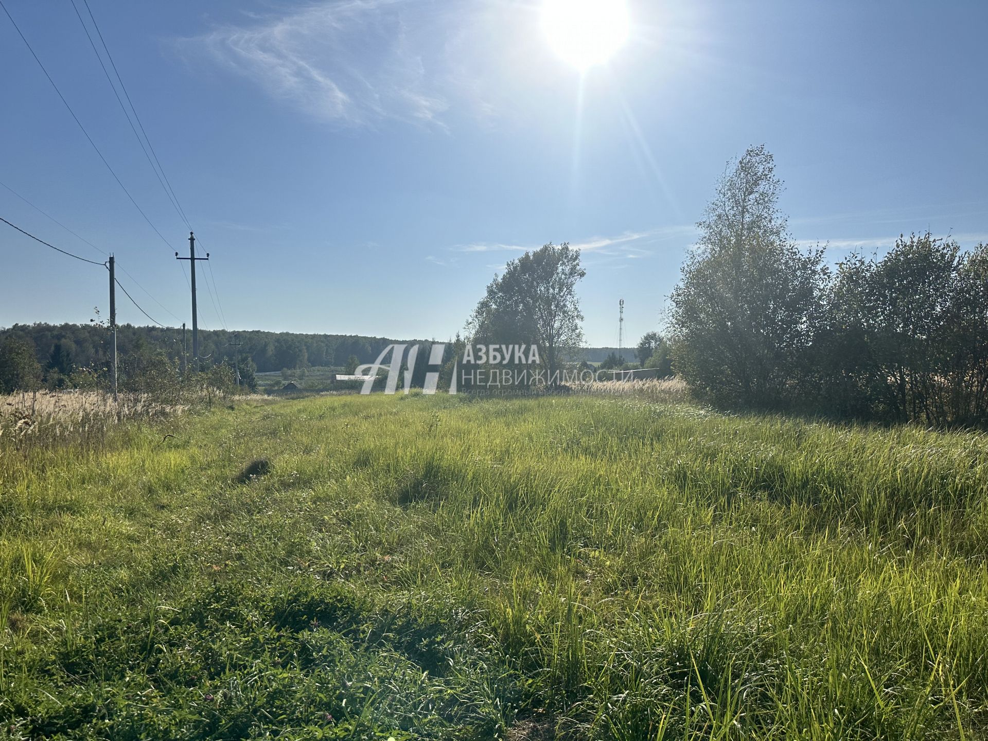  Московская область, городской округ Чехов, деревня Алексеевка