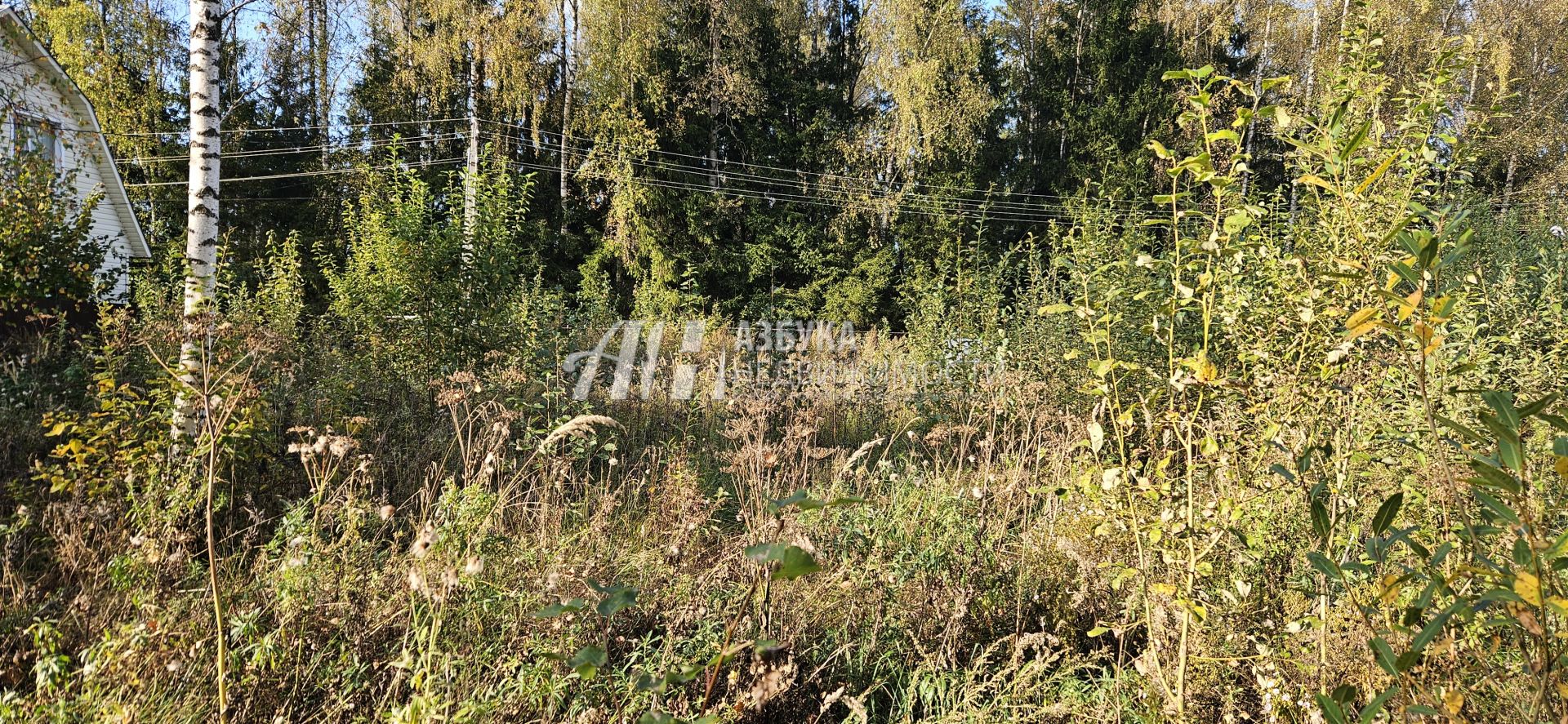 Земли сельхозназначения Московская область, Рузский городской округ, садоводческое некоммерческое товарищество Высотник