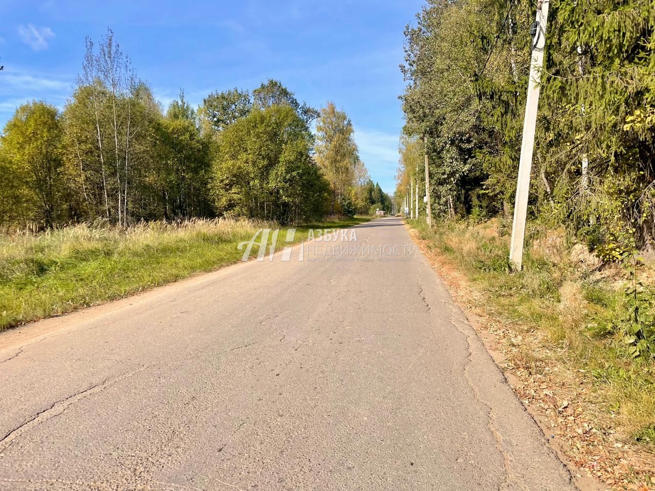 Земли поселения Московская область, городской округ Пушкинский, деревня Могильцы, микрорайон Пушкинский Лес