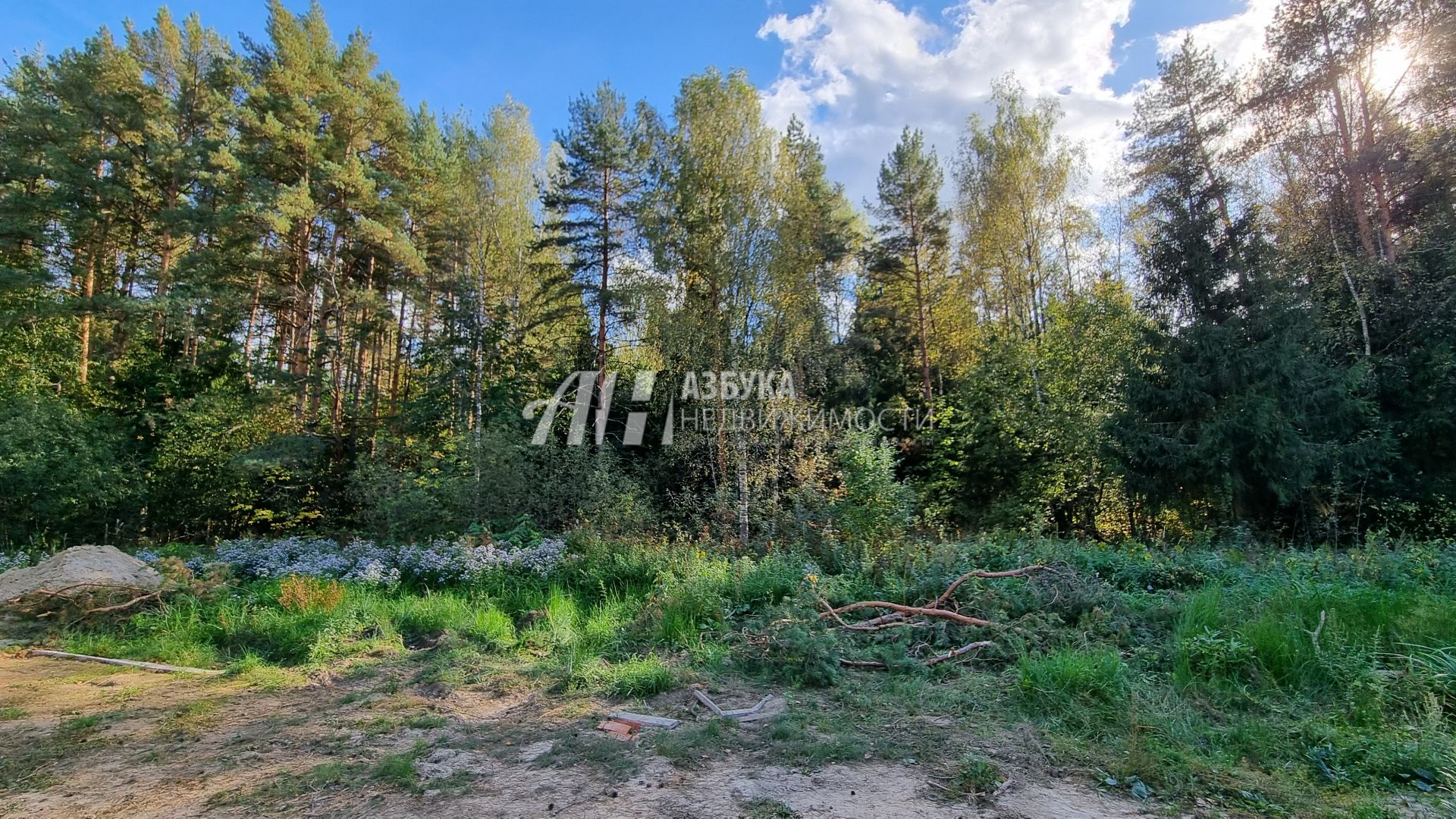 Дом Московская область, городской округ Пушкинский, рабочий посёлок Софрино, Октябрьская улица