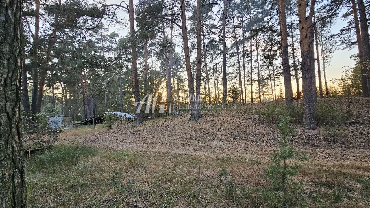 Земли поселения Московская область, городской округ Щёлково, деревня Первая Алексеевка, коттеджный посёлок Хвойный