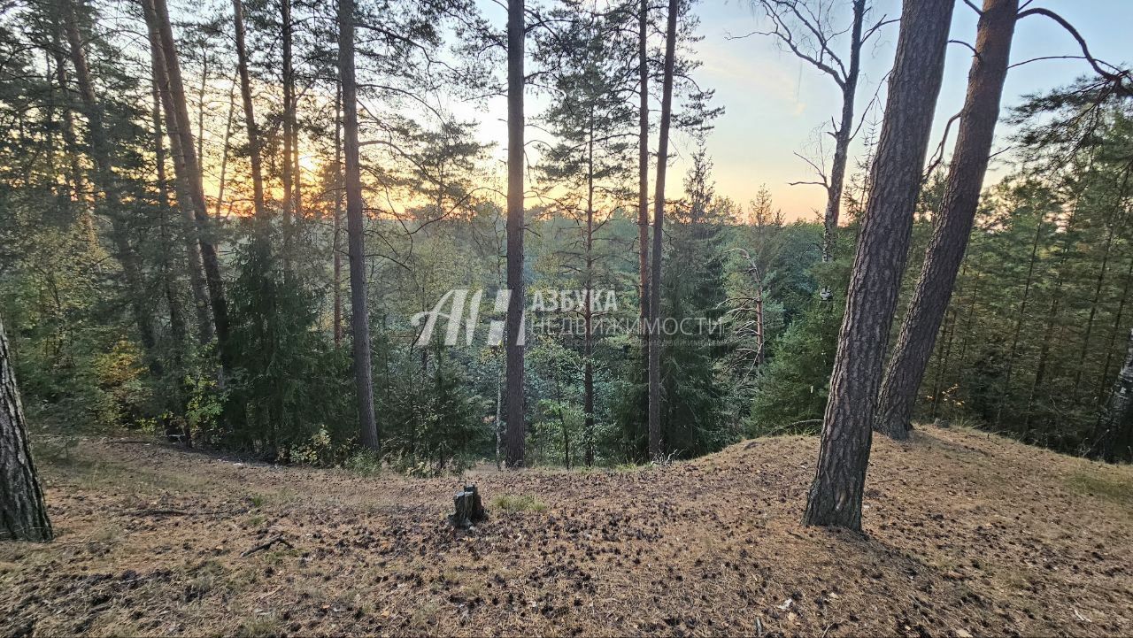 Земли поселения Московская область, городской округ Щёлково, деревня Первая Алексеевка, коттеджный посёлок Хвойный